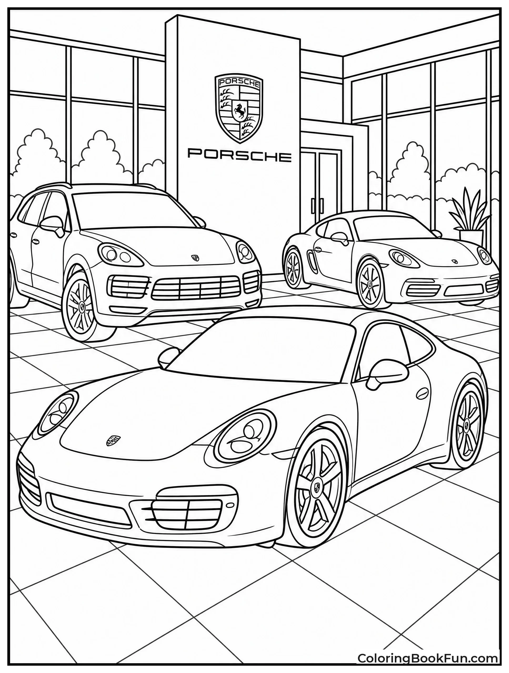 Shiny Porsches Sit In Showroom