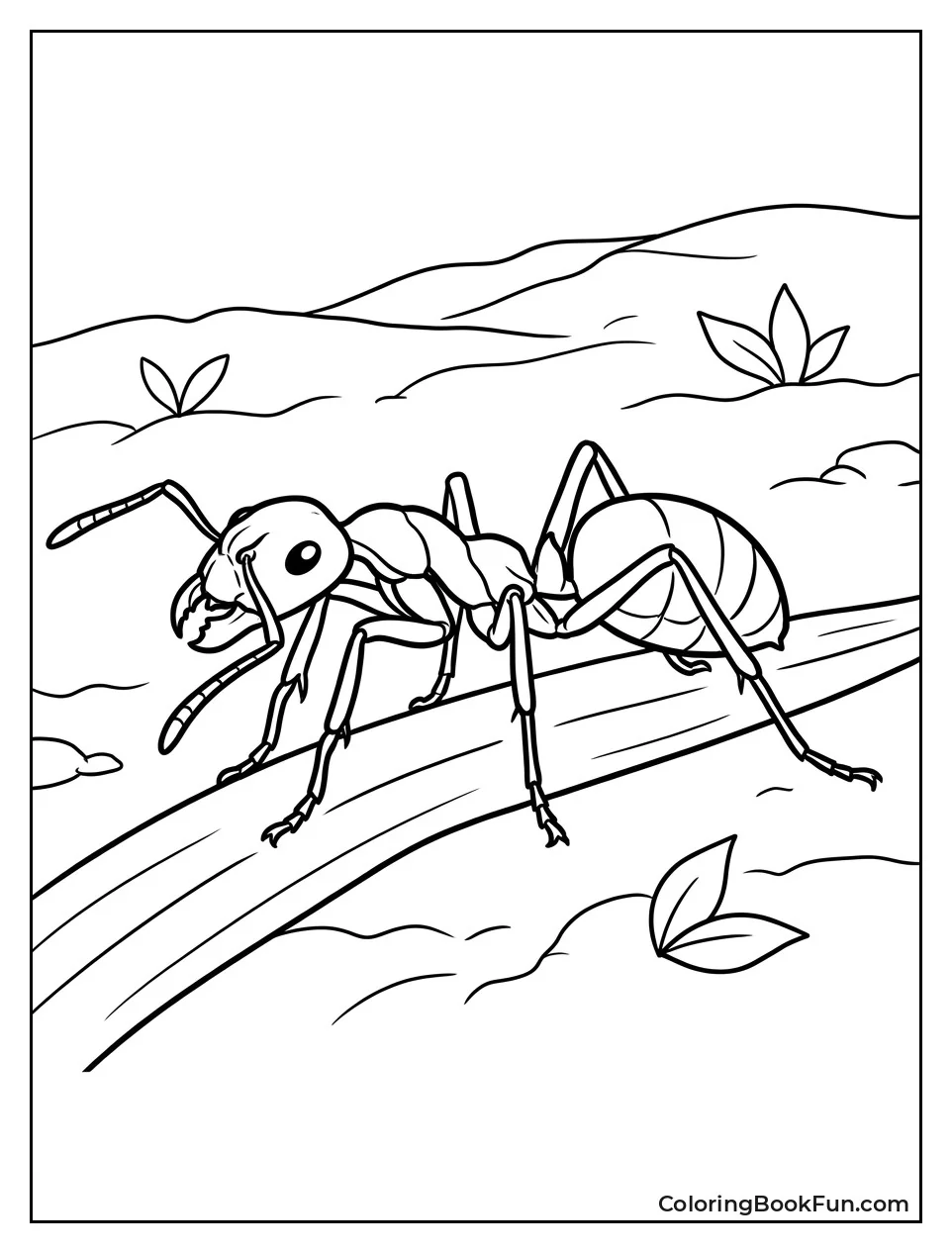 Detailed Red Fire Ant