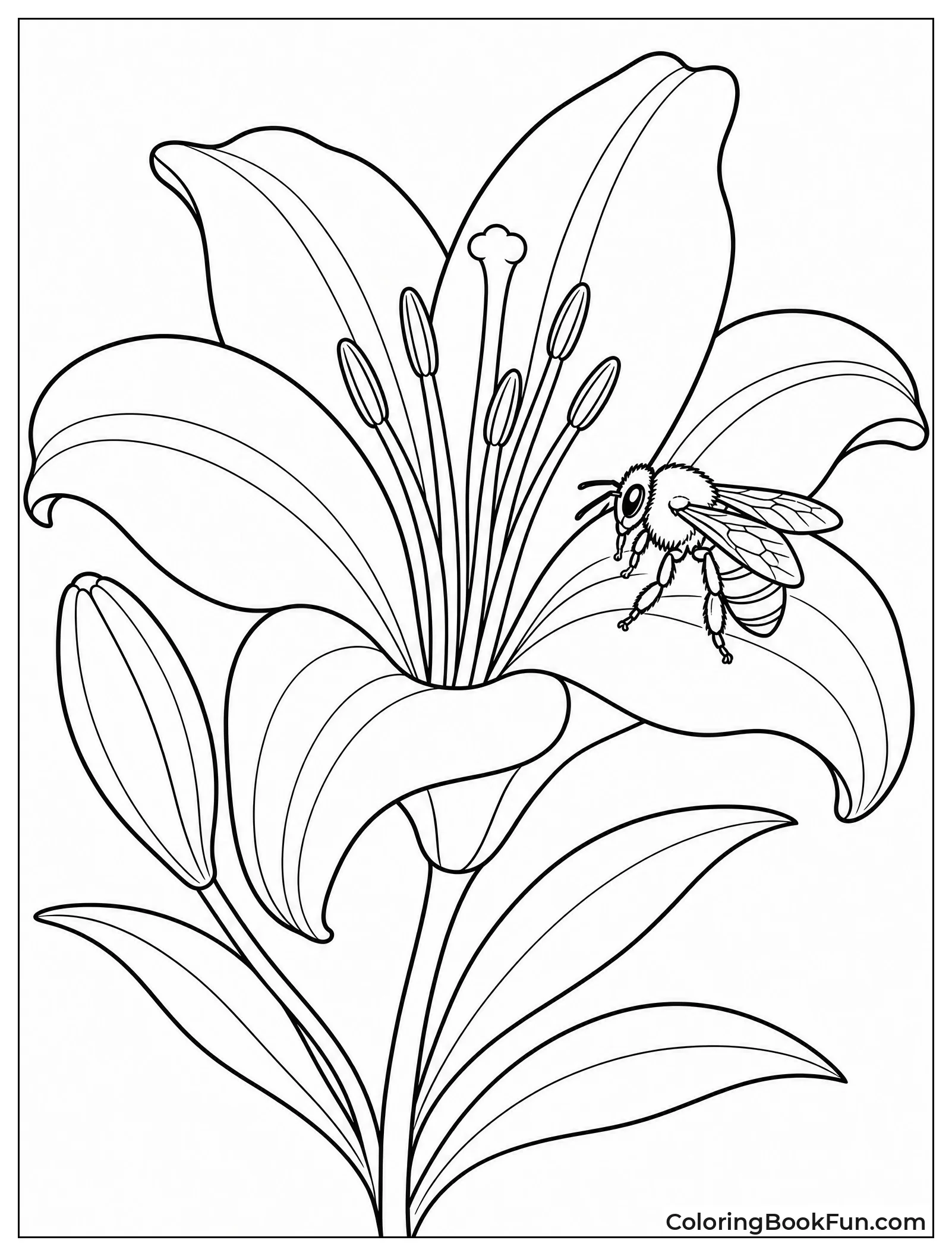 Bee Perched on Lily Petal