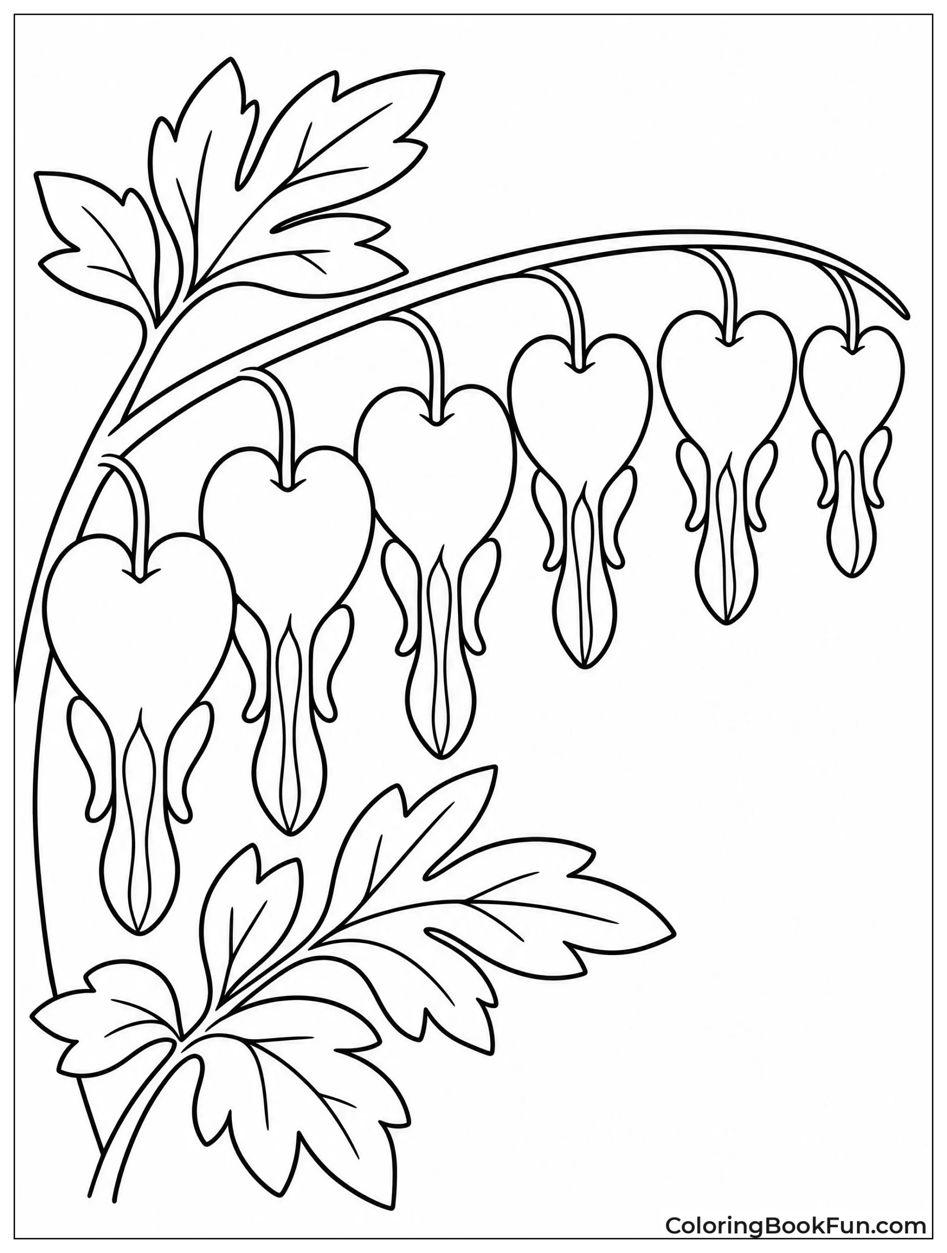Bleeding Heart Flowers on Vine