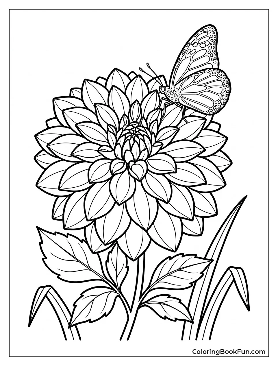 Butterfly Resting on Dahlia