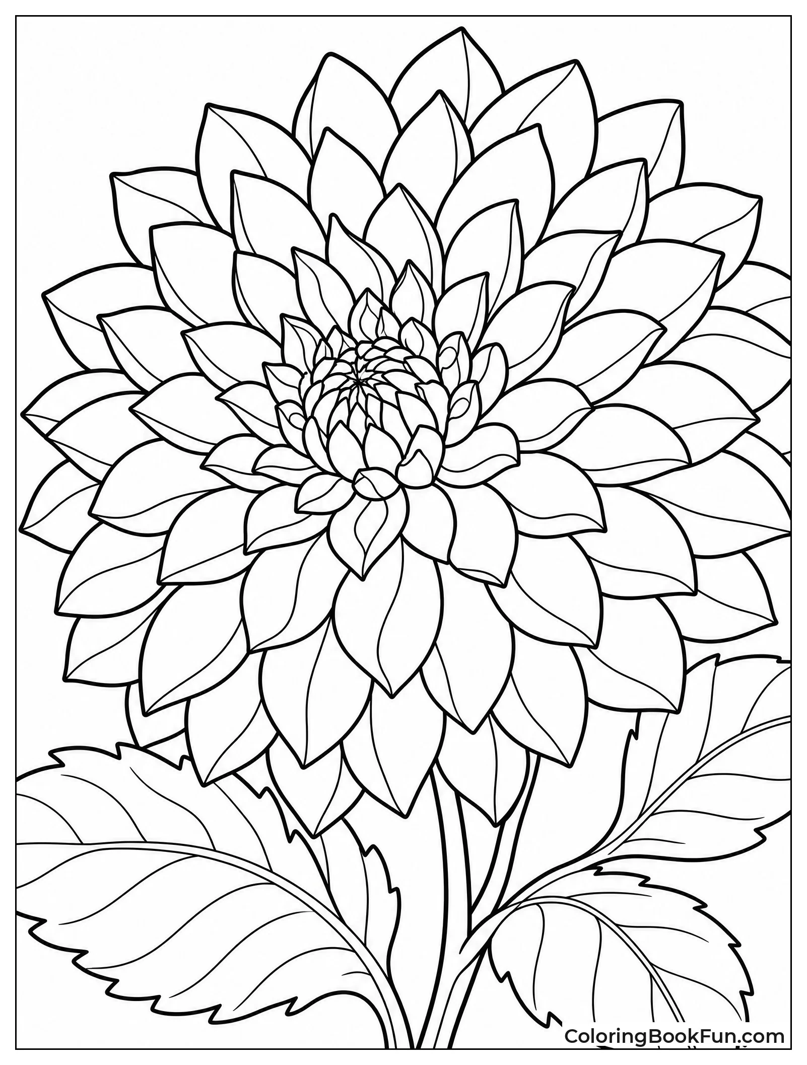 Dahlia Showing Many Layered Petals