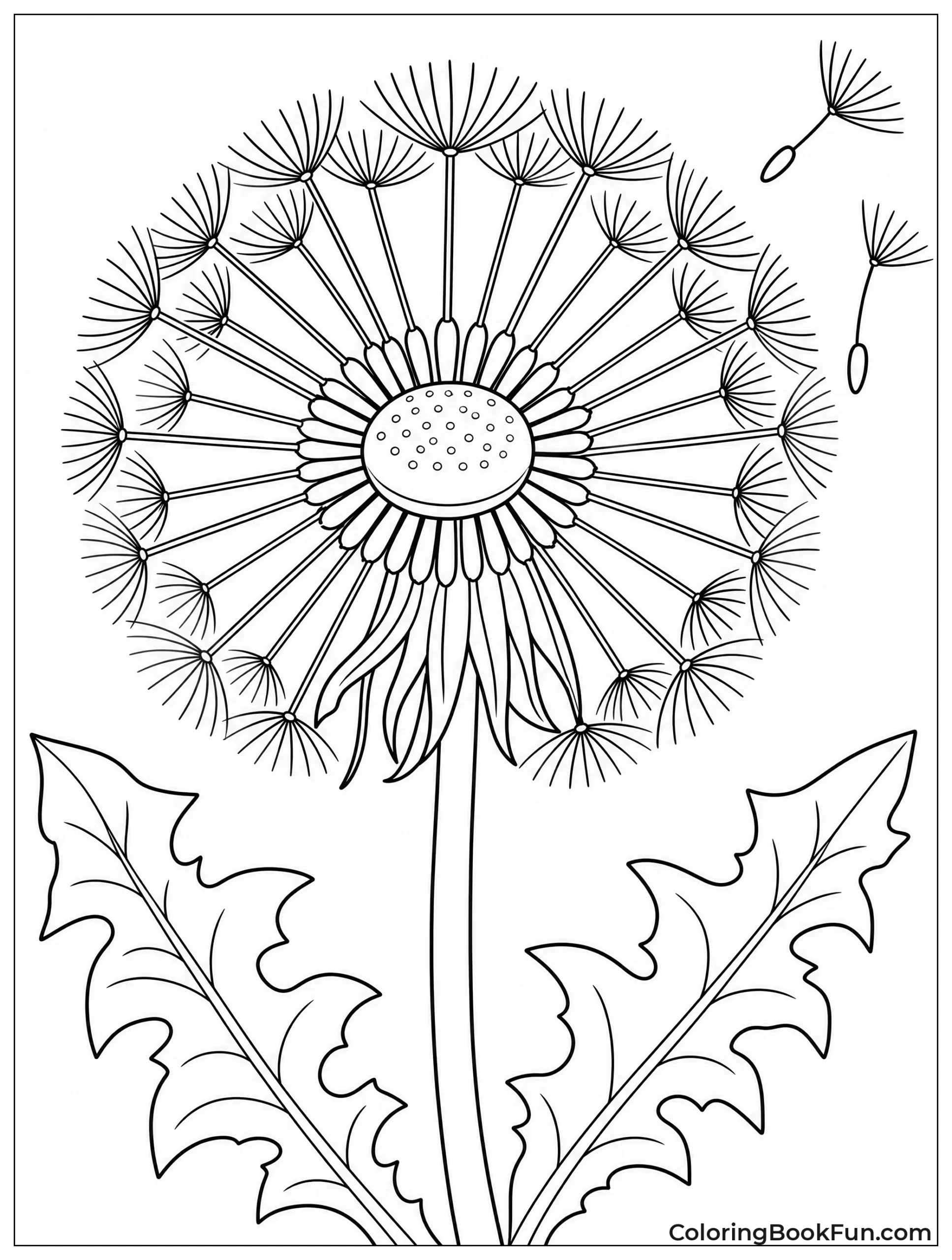 Dandelion Seeds Blowing in Wind