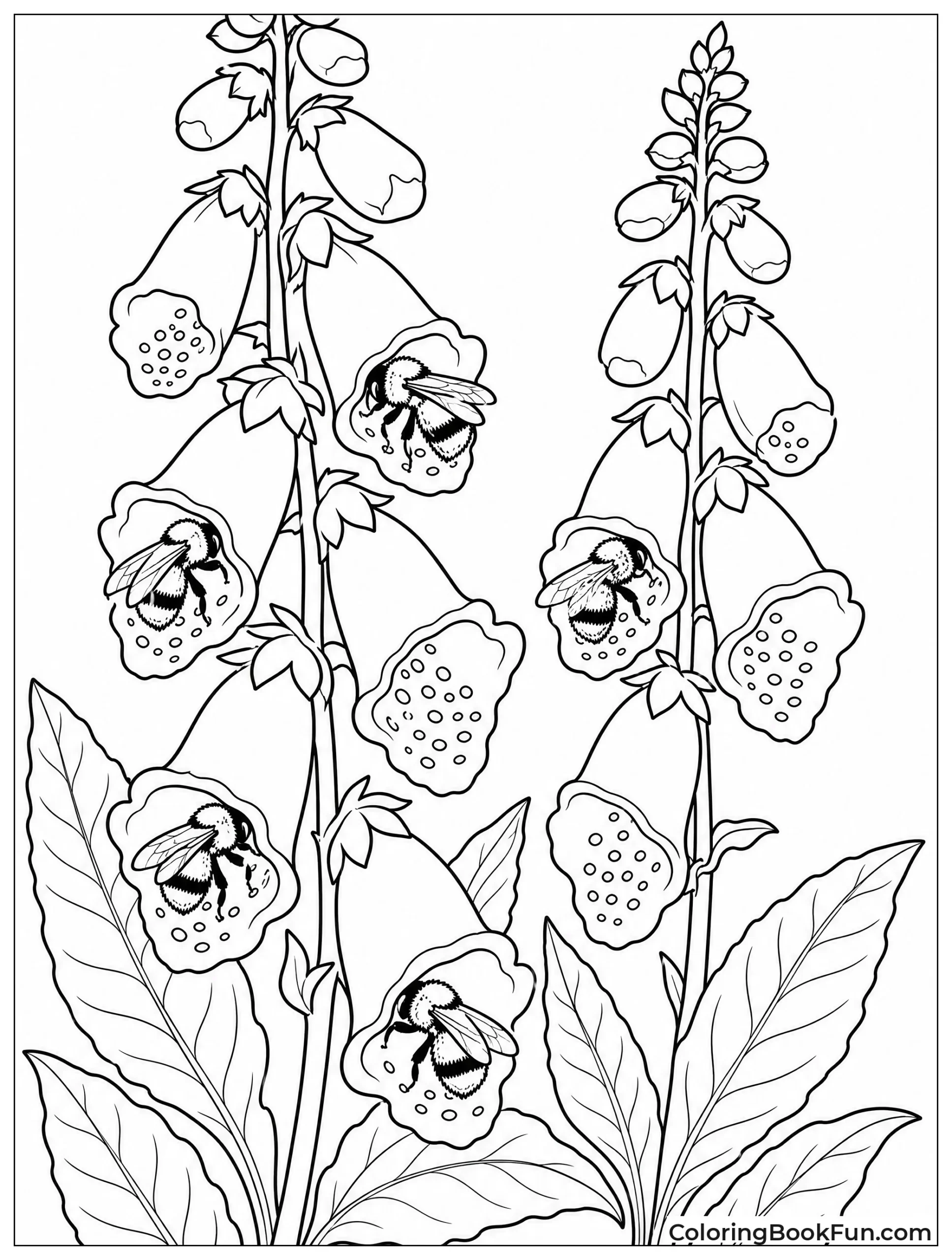 Bees Inside Foxglove Bells