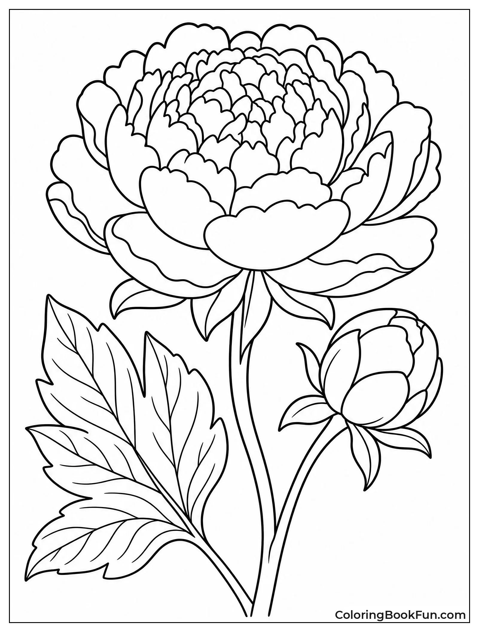Peony Blossom with Bud and Leaf