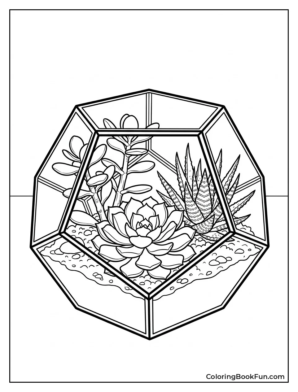 Succulents Growing in Terrarium