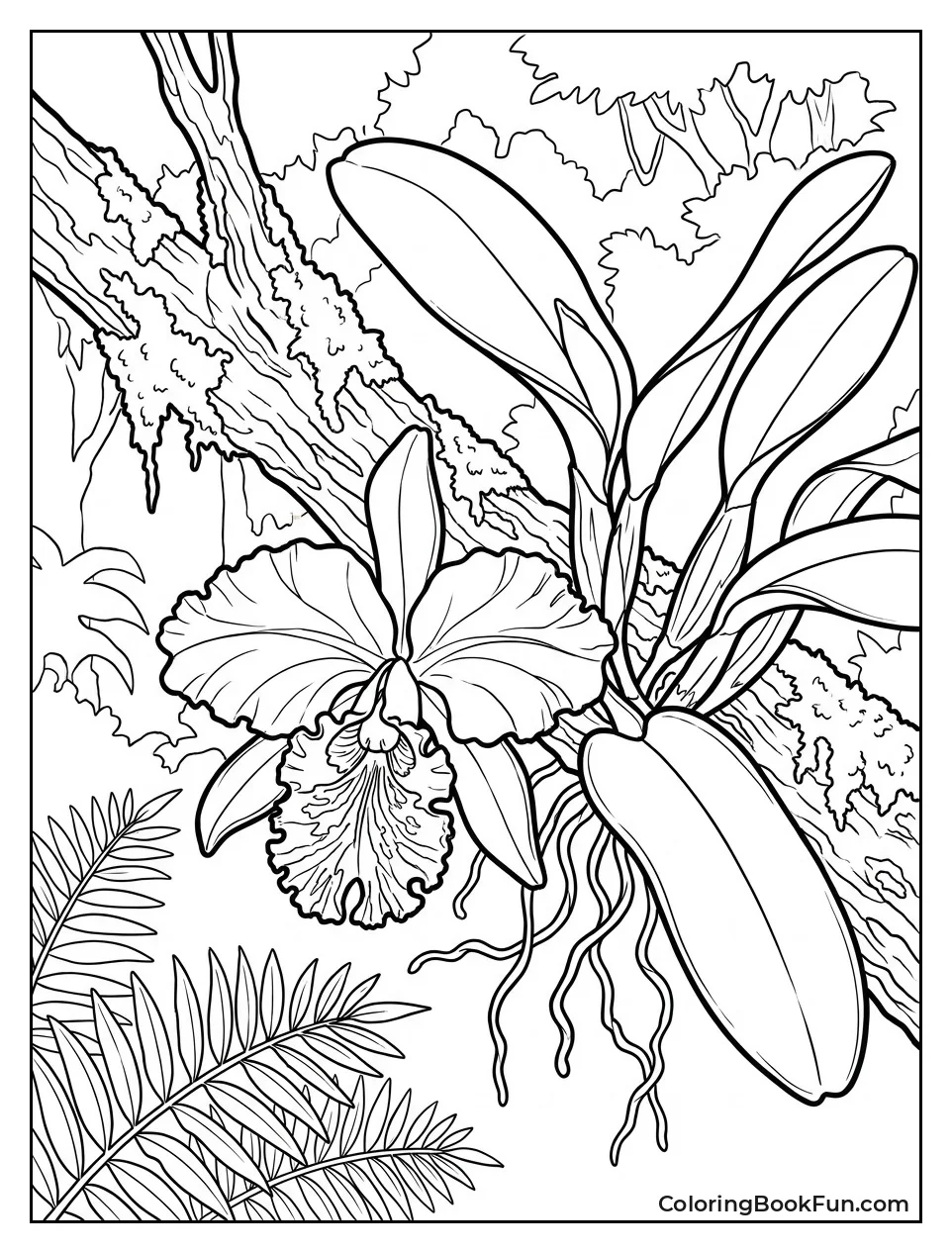 Orchid Hanging from Mossy Branch