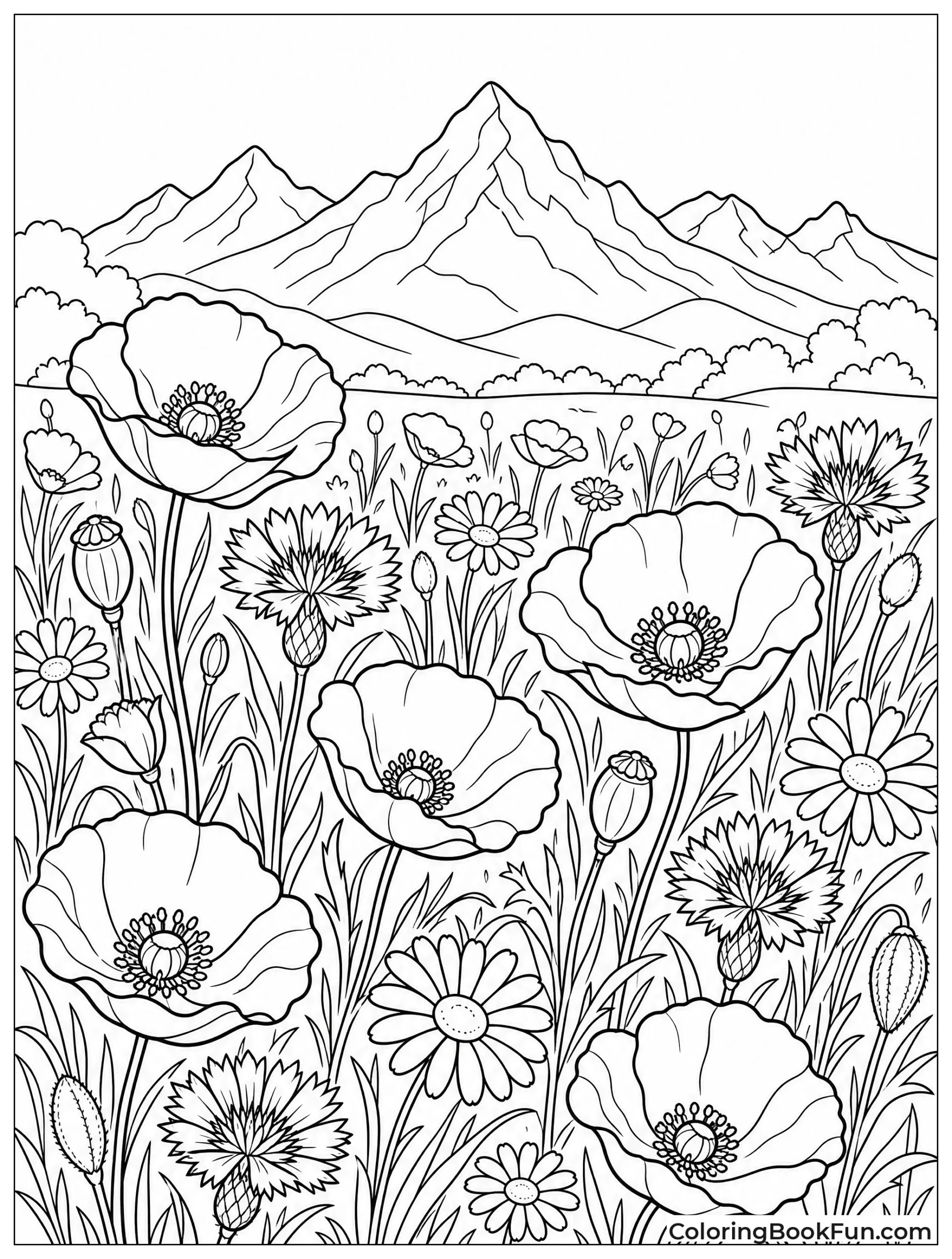 Poppies and Daisies in Meadow