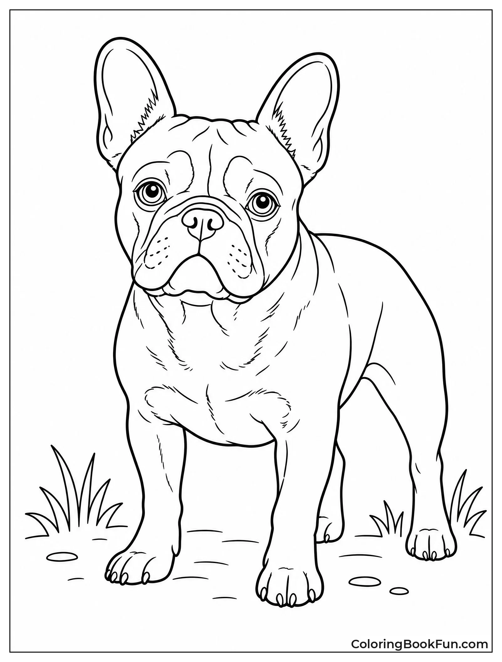 Realistic Bulldog Shows Strong Muscles