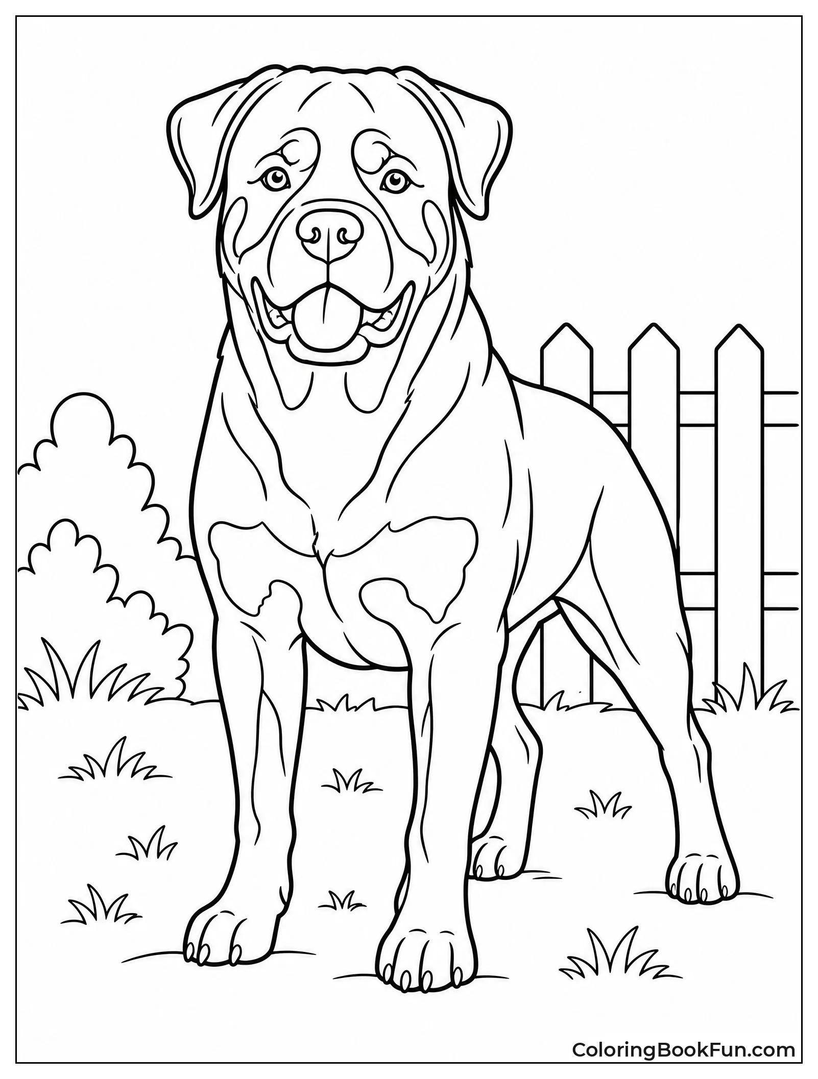 Strong Rottweiler Showing Muscles