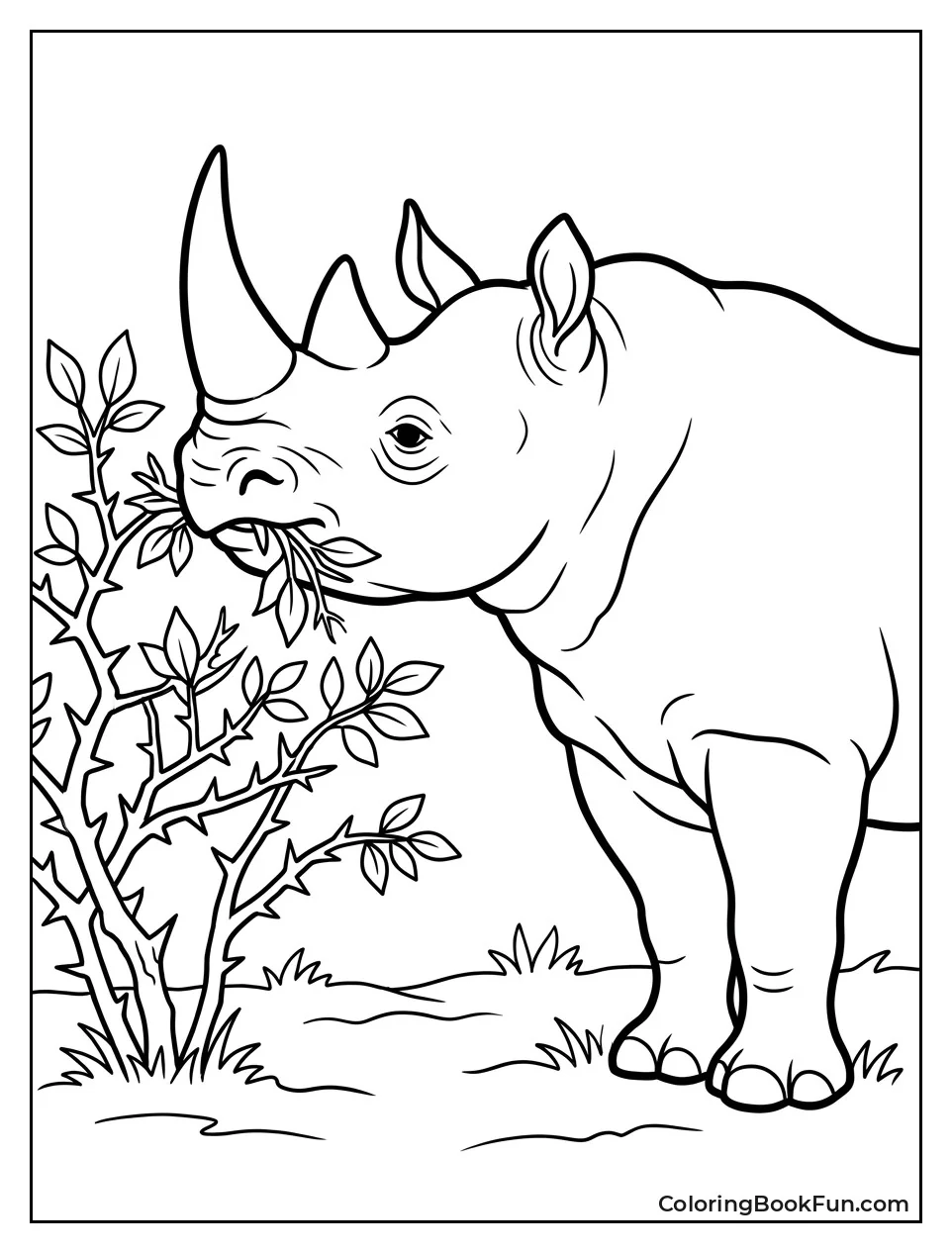 Rhino Plucking Leaves from Bush
