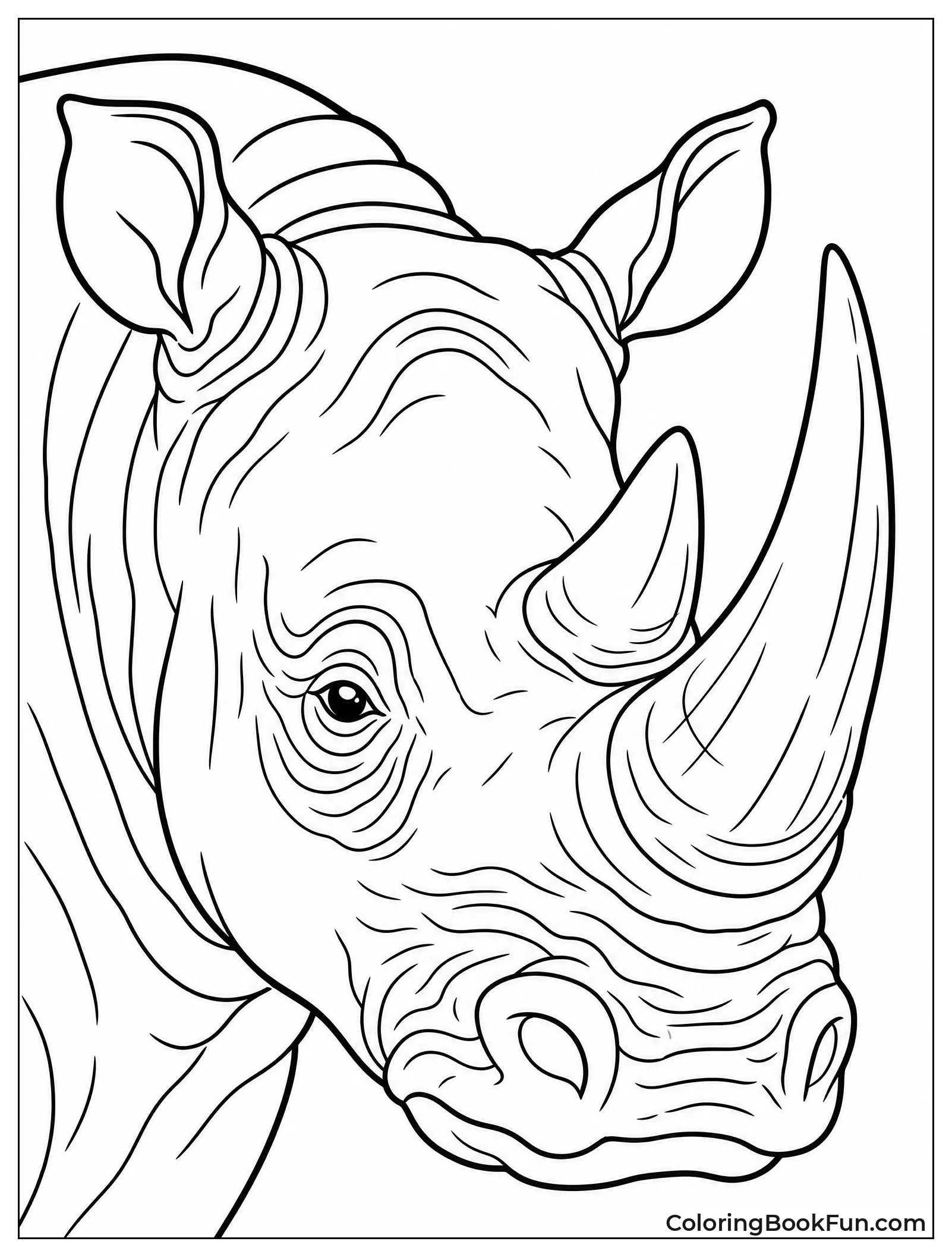 Close up of Rhino Horns