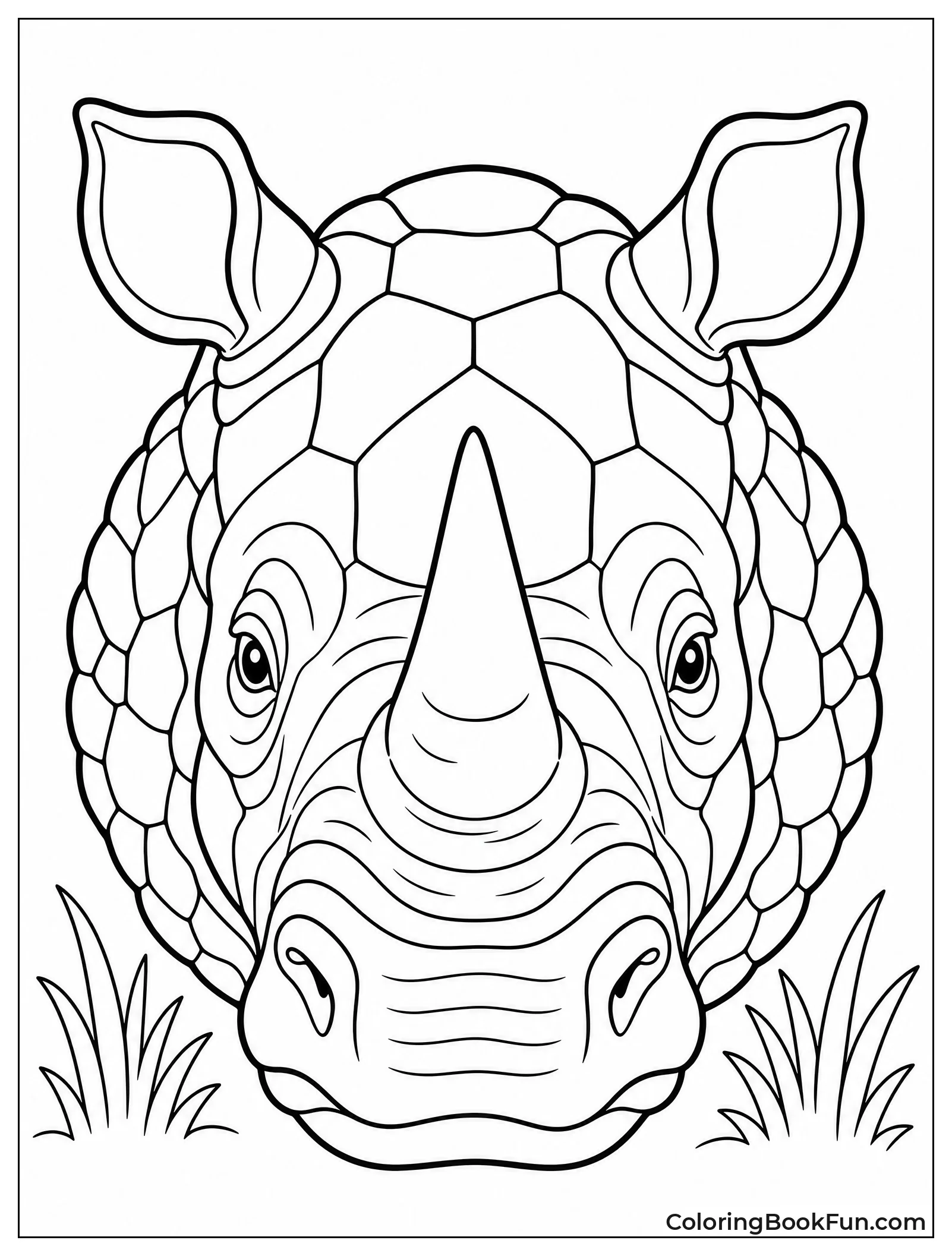 Rhino Face with Armor Skin