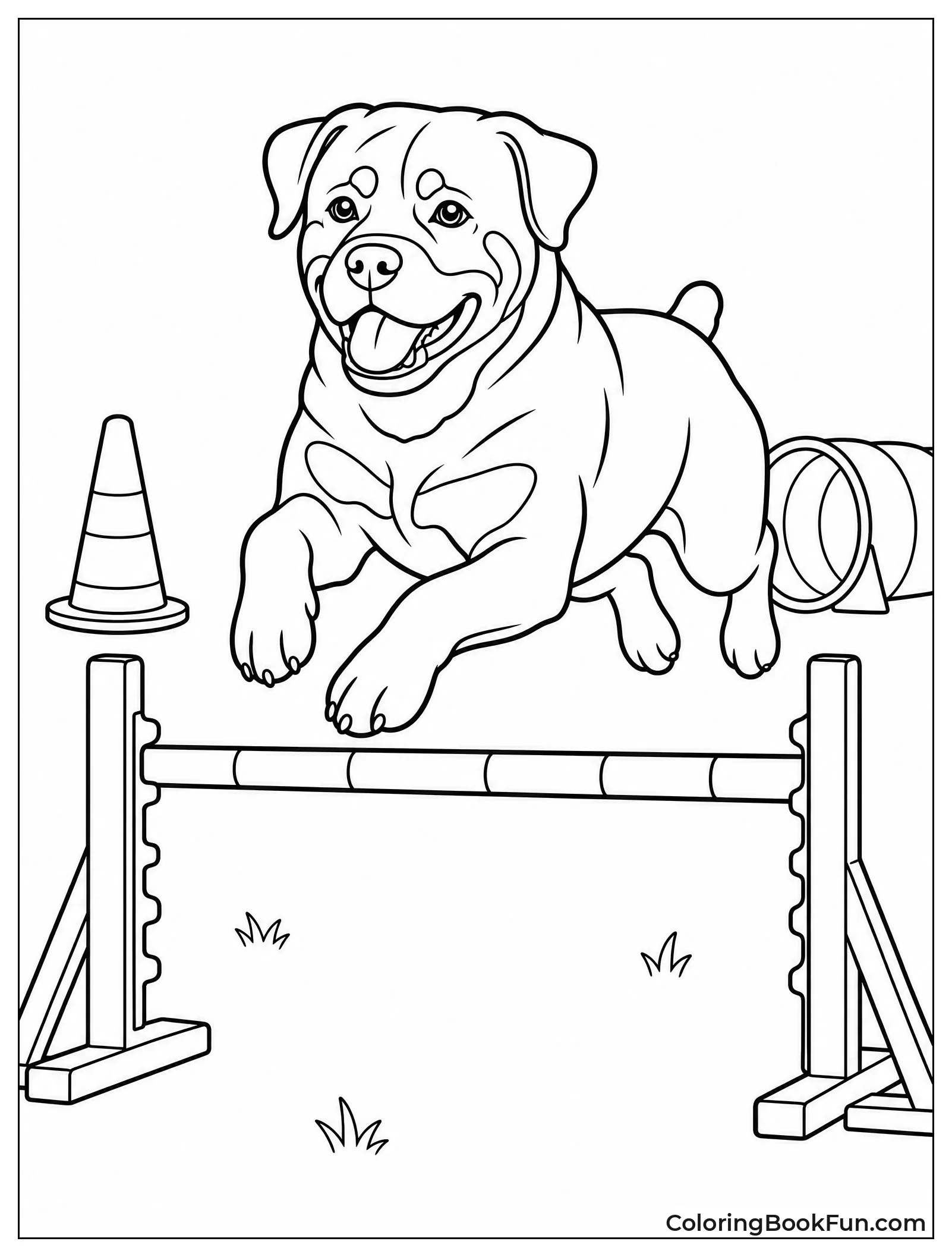 Rottweiler Jumping Over Agility Hurdle