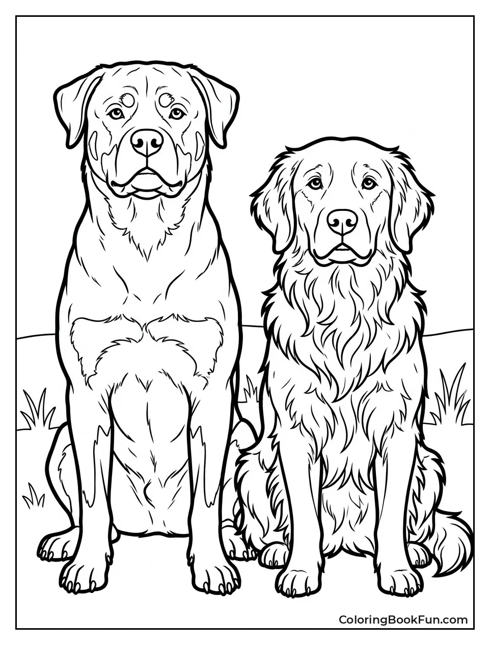 Rottweiler Sitting with Golden Retriever Friend