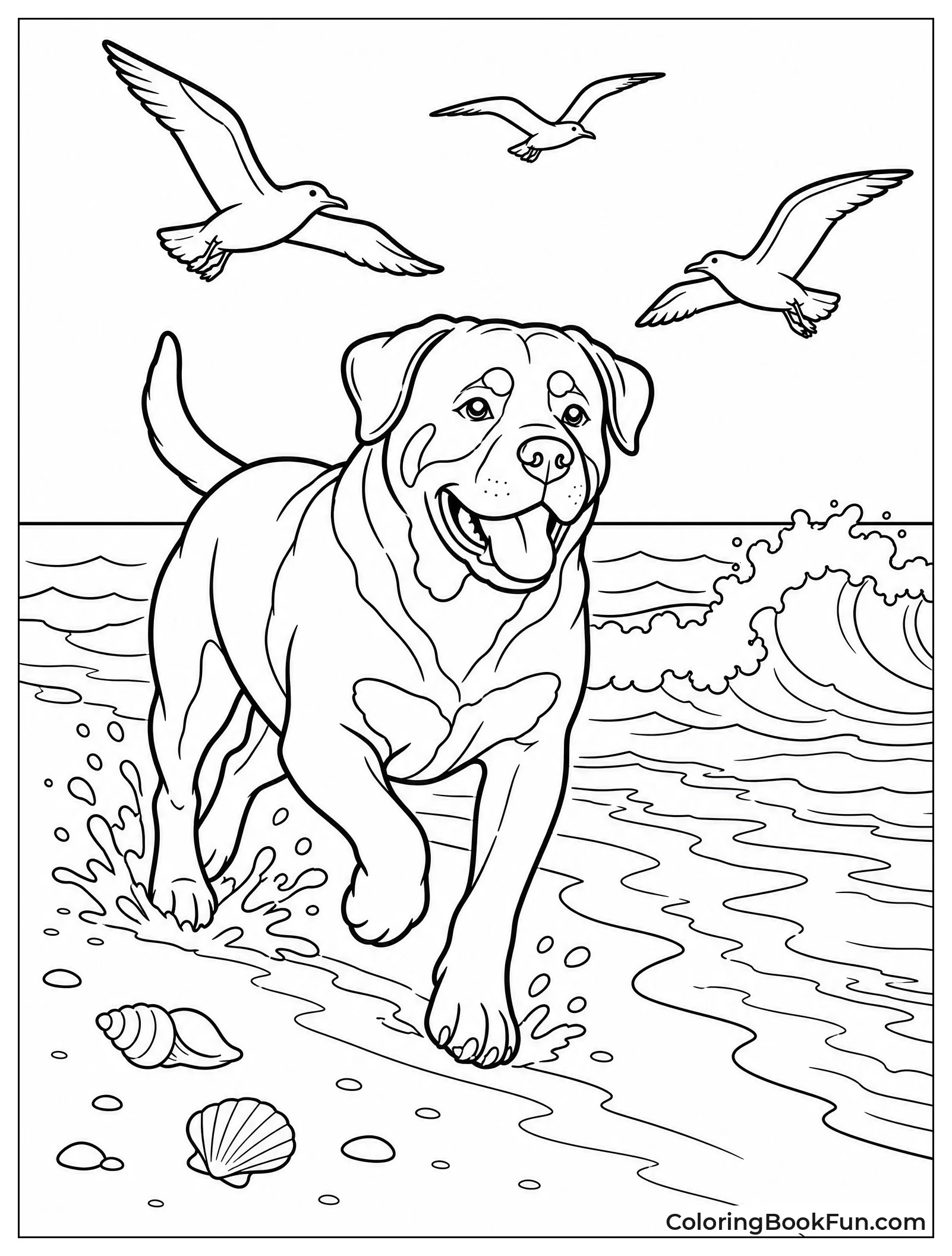 Rottweiler Running on Beach with Seagulls