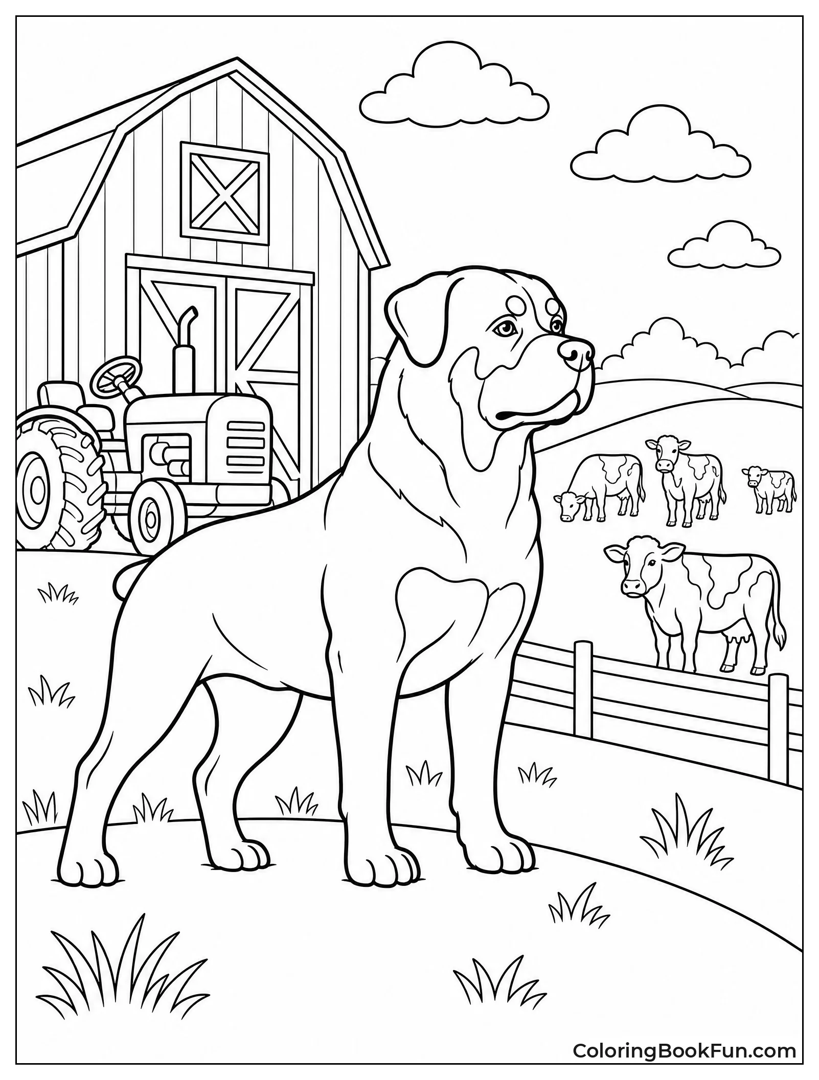Rottweiler Standing Near Barn and Tractor