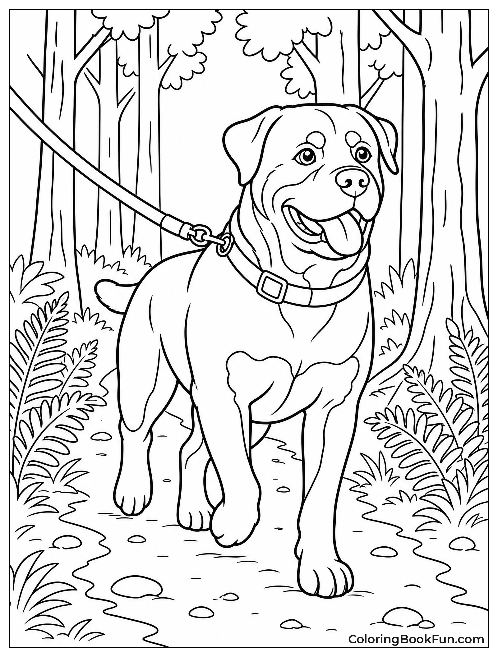 Rottweiler Walking on Forest Trail