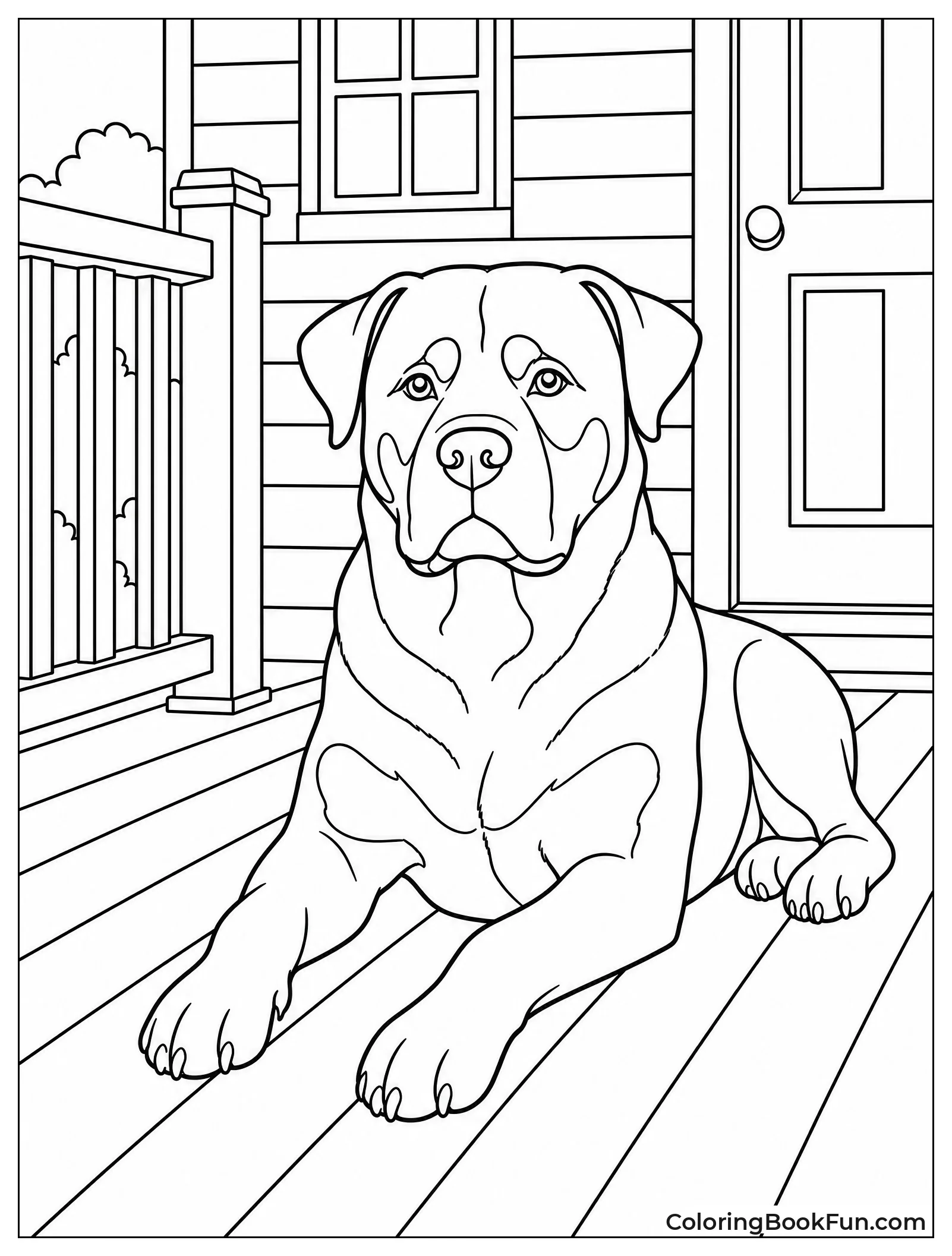 Rottweiler Lying Alert on Wooden Porch