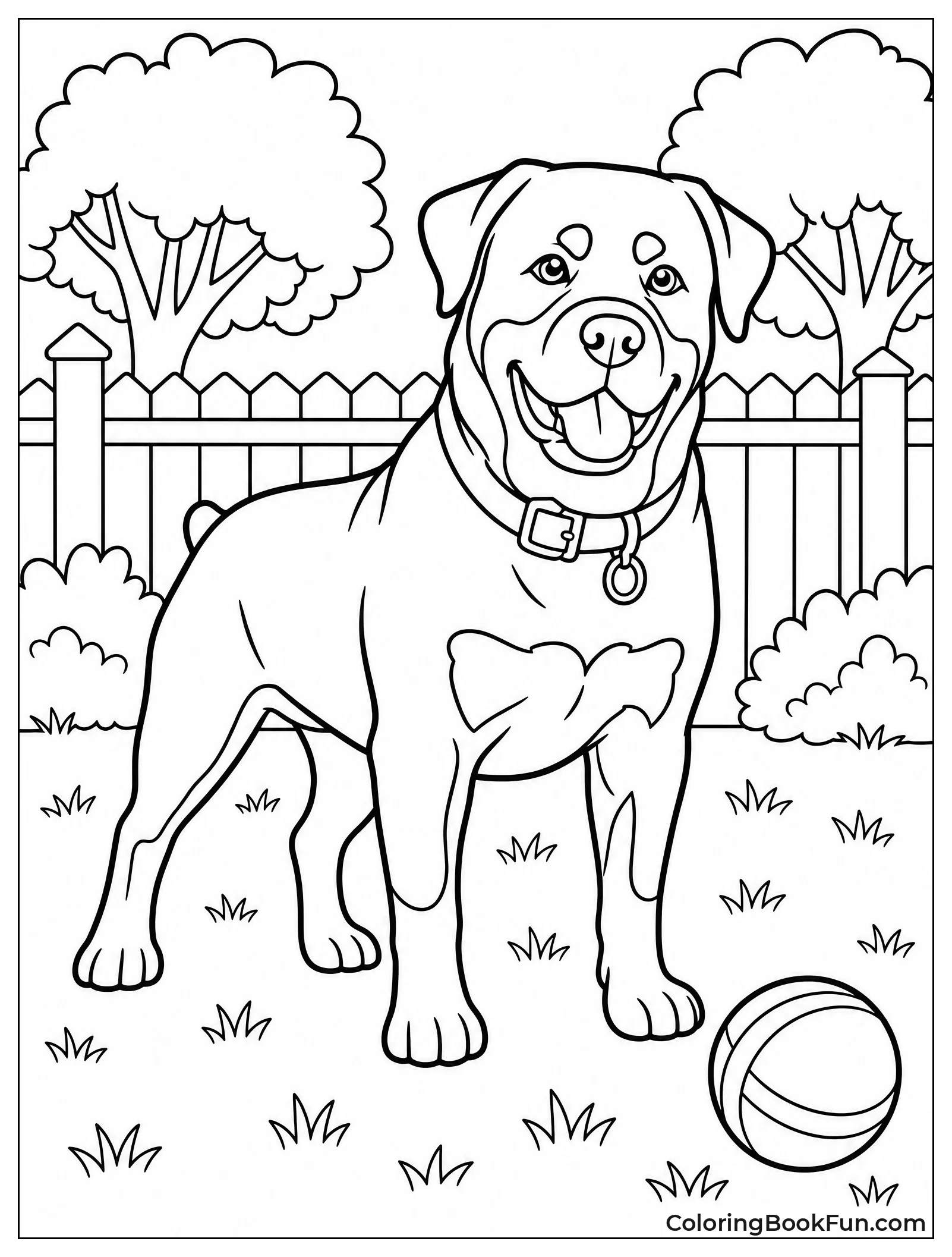 Rottweiler Standing in Grassy Backyard