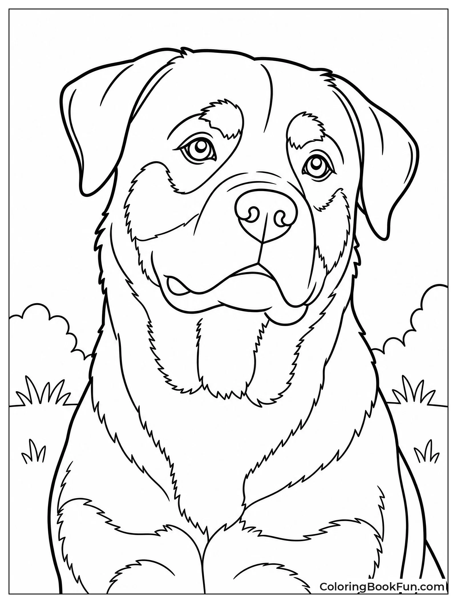Rottweiler Fur Texture in Black and Tan