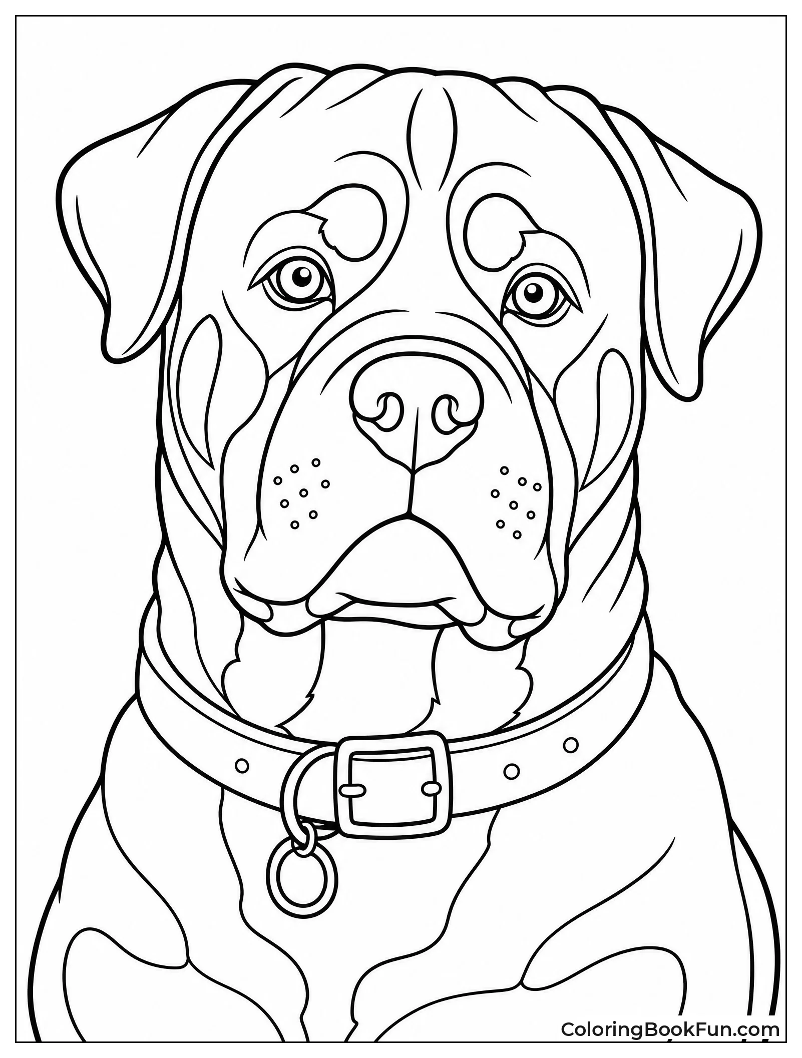 Close-up of Majestic Rottweiler Face
