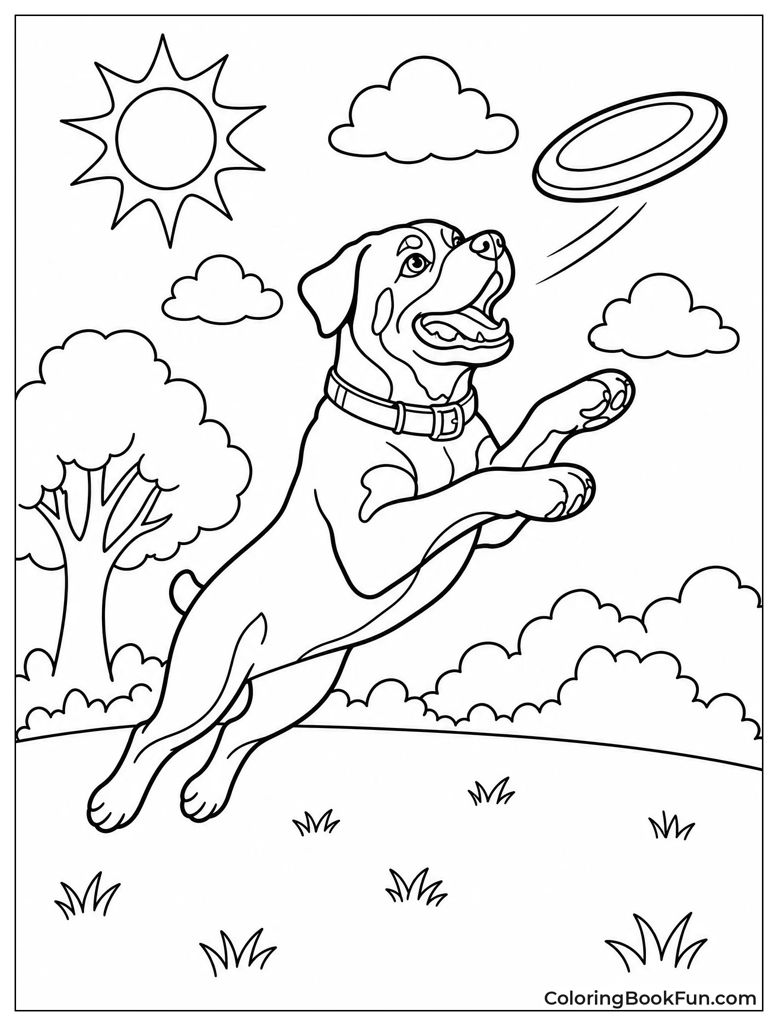 Rottweiler Leaping to Catch Flying Disc
