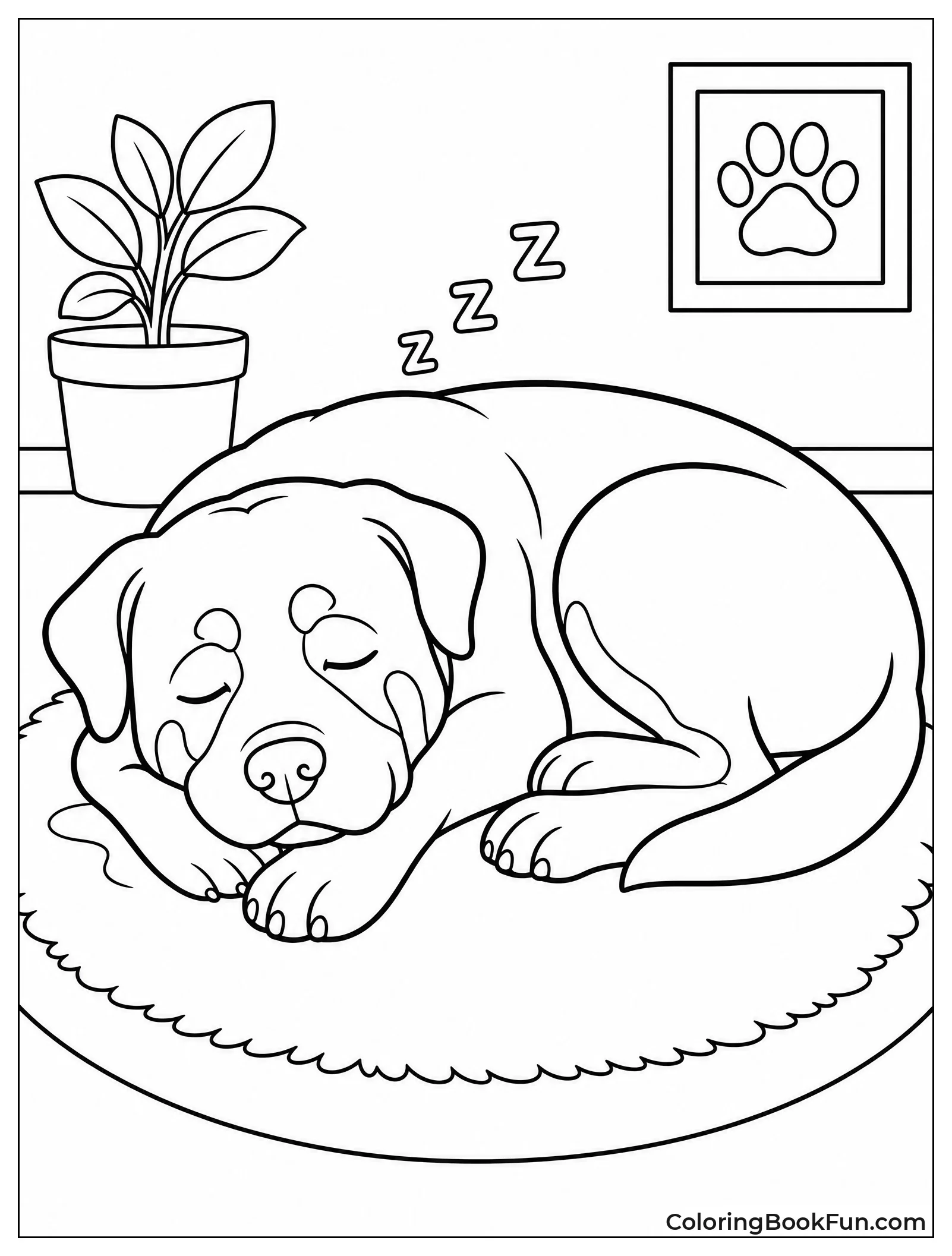 Rottweiler Curled Up Sleeping on Rug