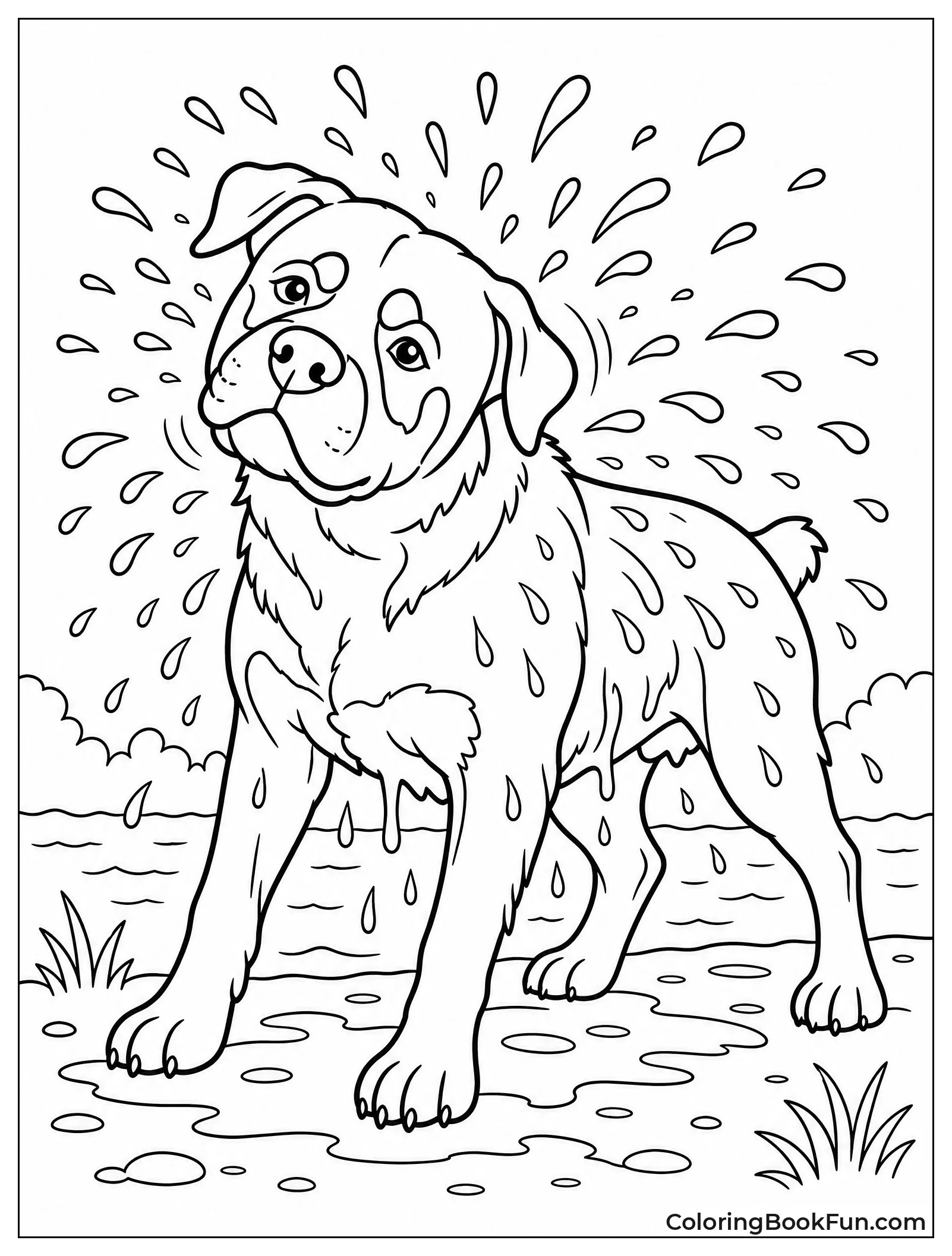 Rottweiler Shaking Water Off After Swim