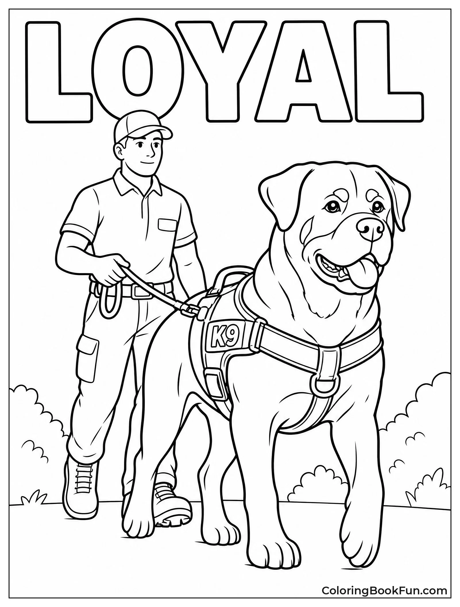 Rottweiler Walking Calmly in Service Harness