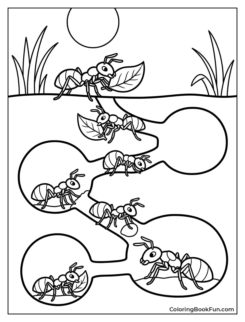 Silhouette of Ant Colony