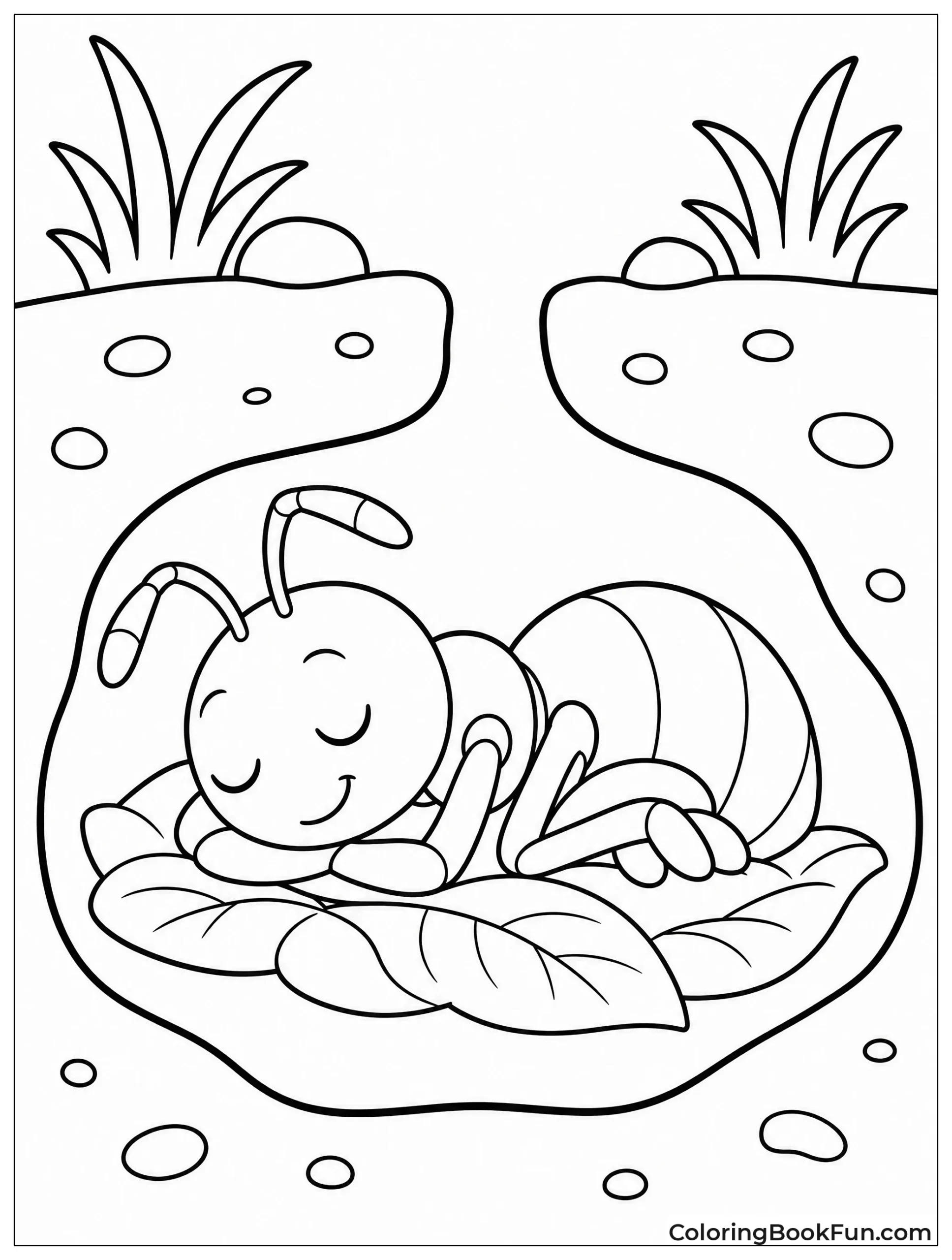 Ant Sleeping Cozy in Nest
