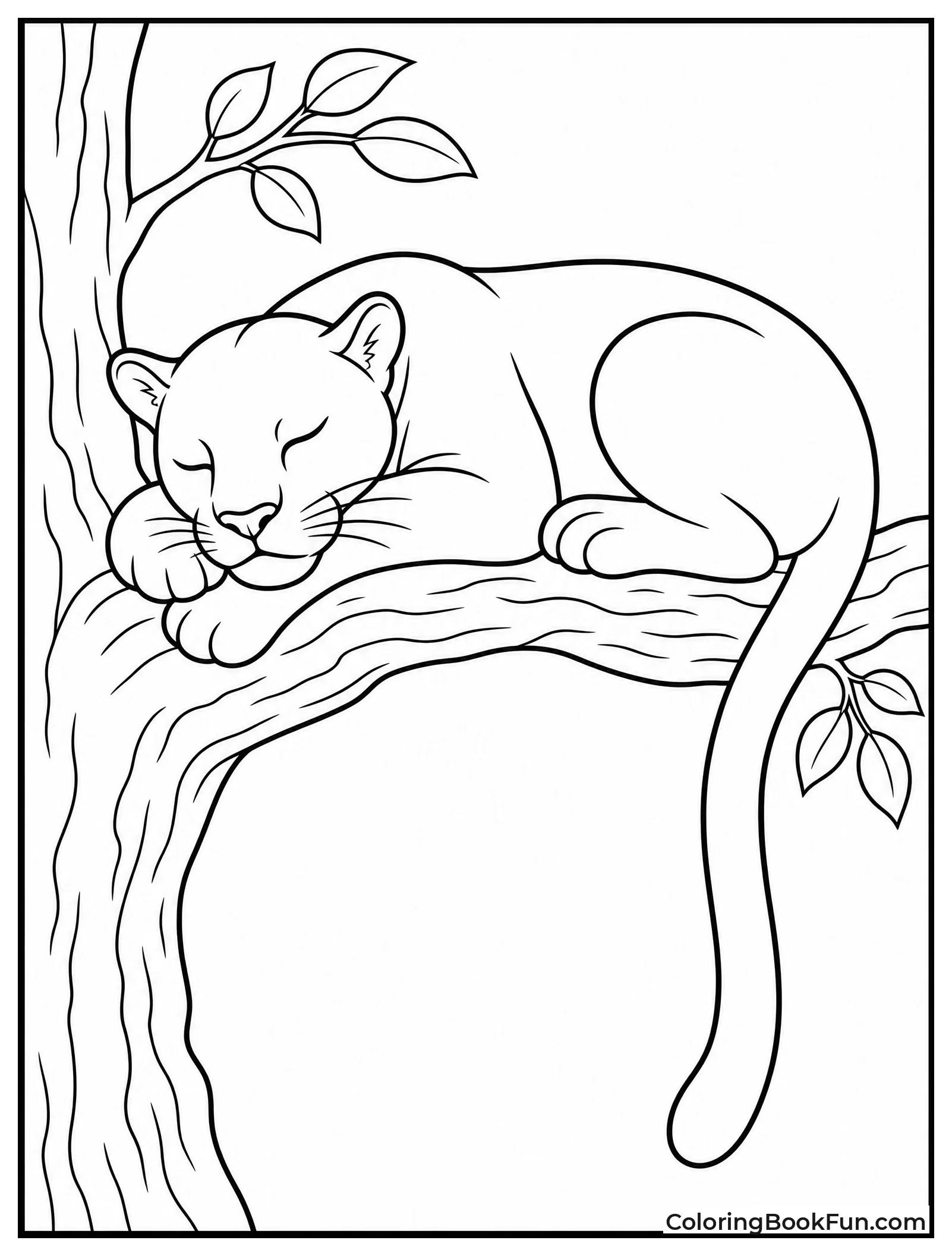 Panther Sleeping on Tree Branch