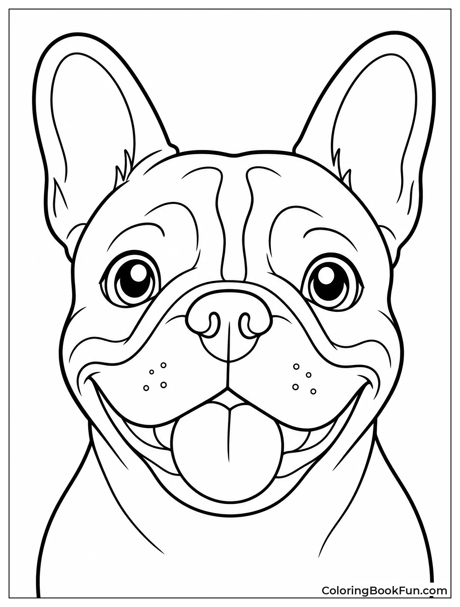 Smiling French Bulldog Shows Bat Ears