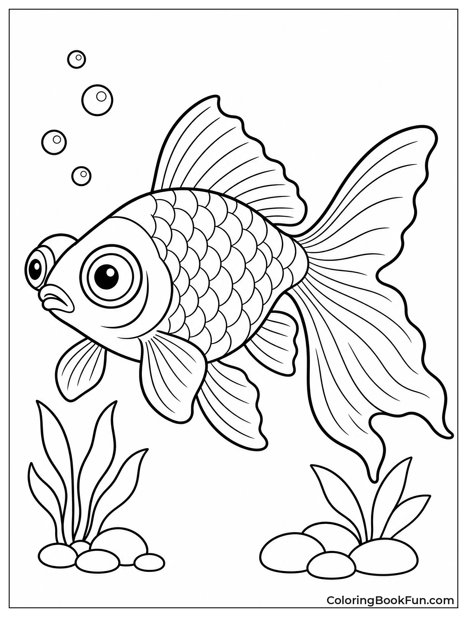 Telescope Eye Goldfish In Profile