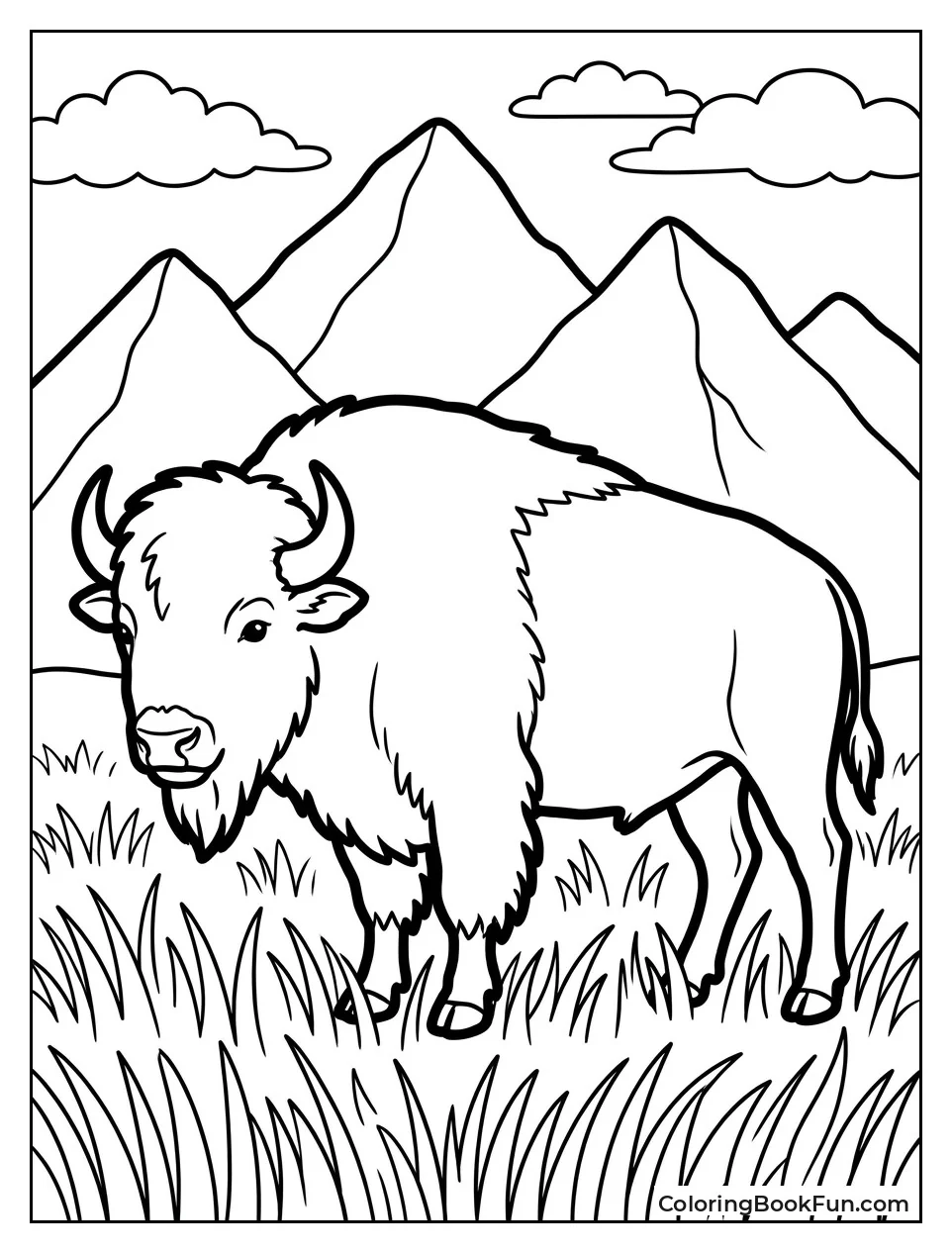 American Bison on Prairie Field