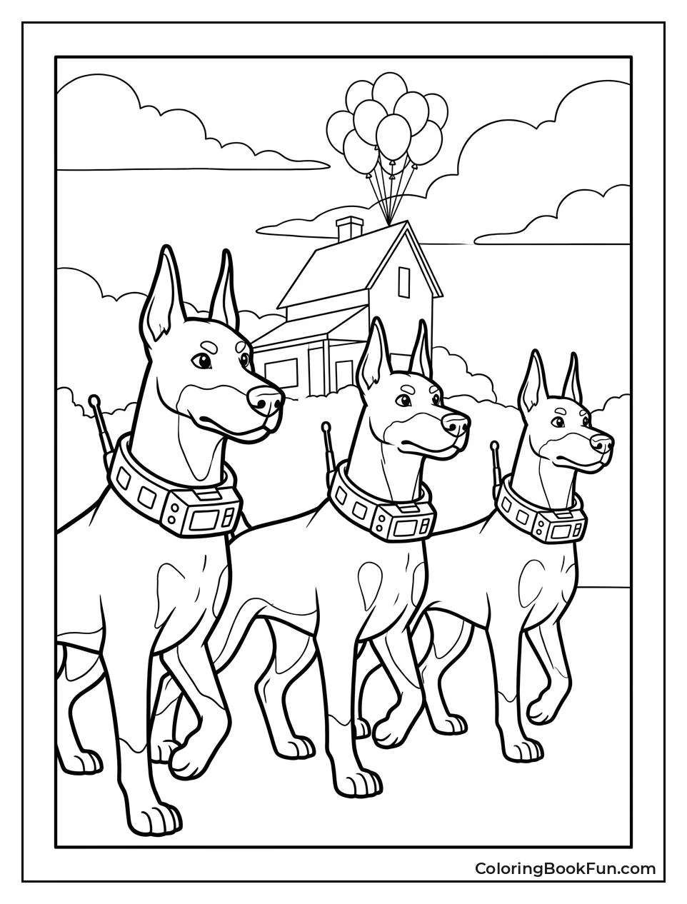 Alpha Leads Dogs With Collars