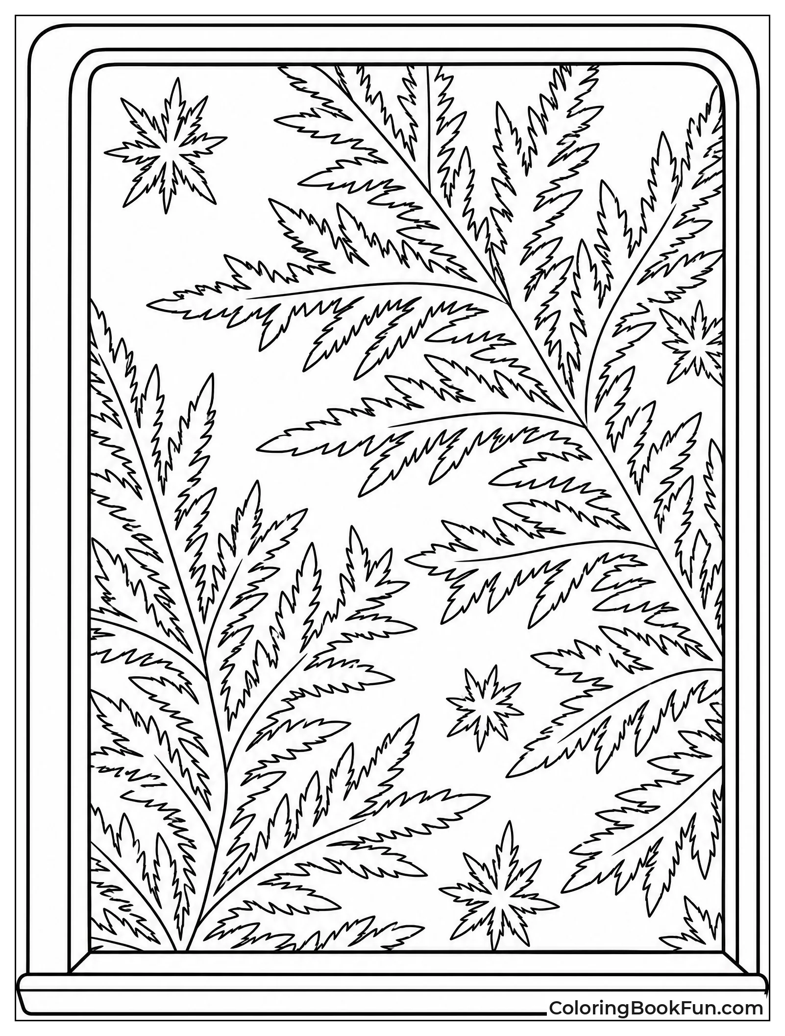 Frost Crystals Forming on Window