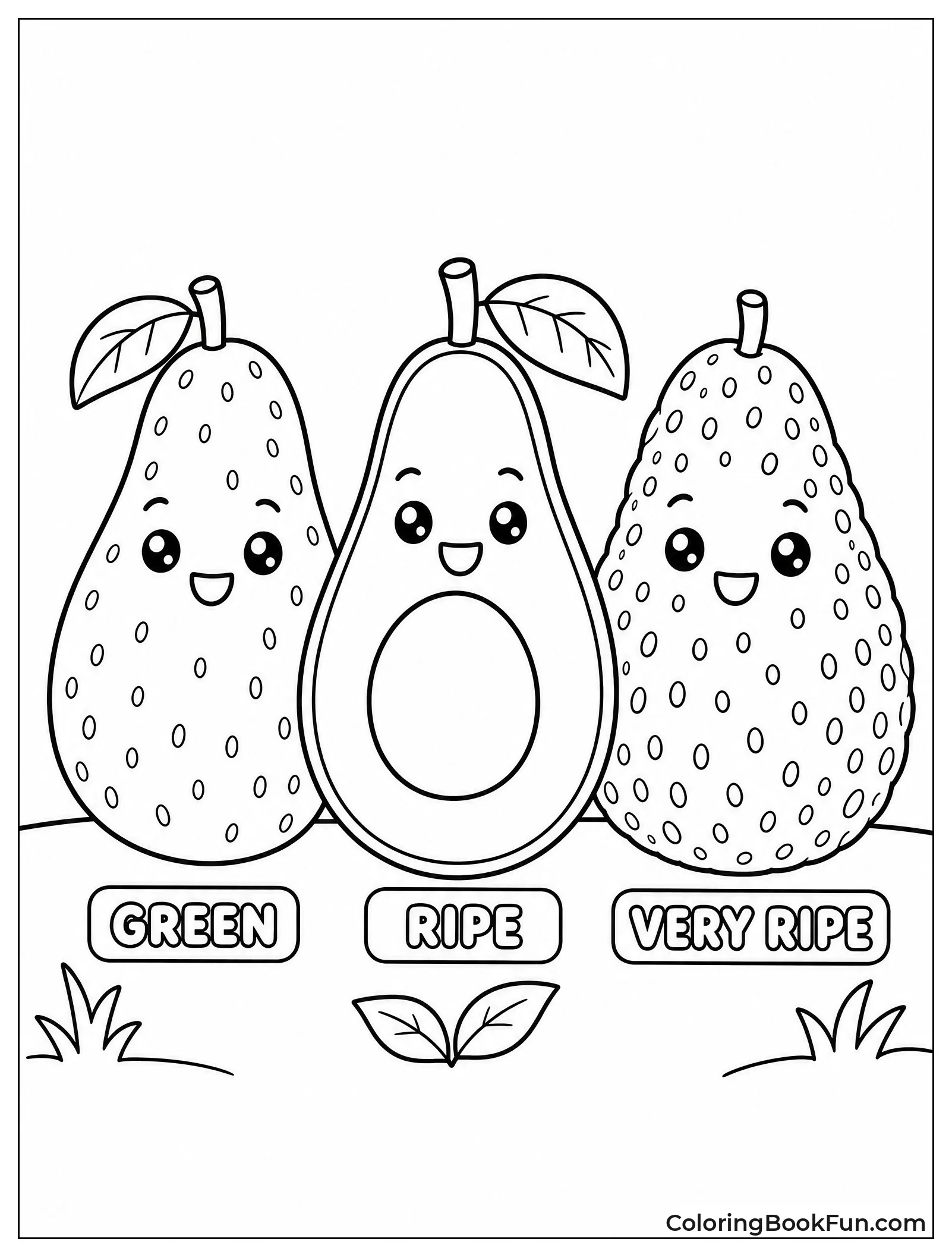 Avocados Showing Ripeness Stages