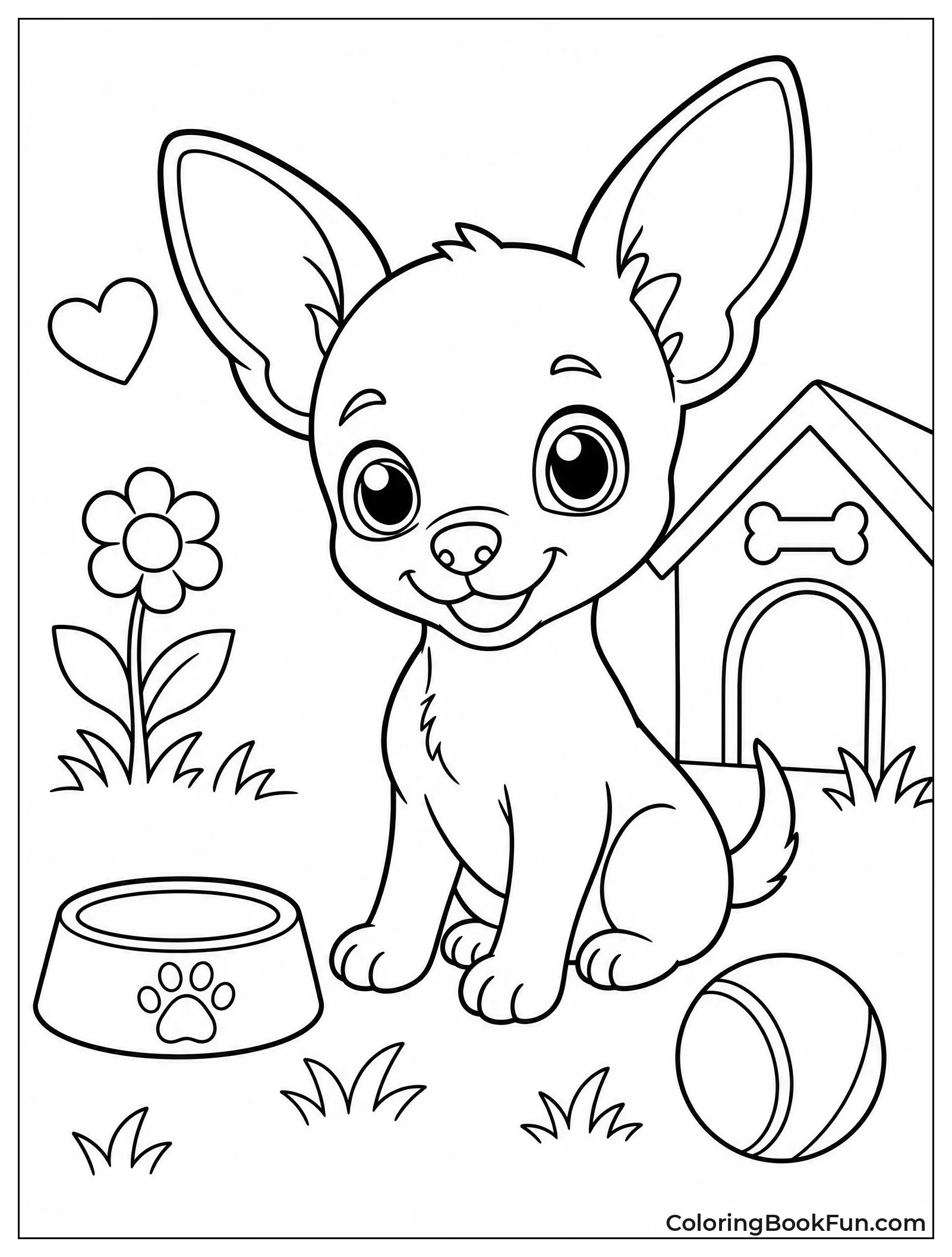 Small Chihuahua Exploring the Yard