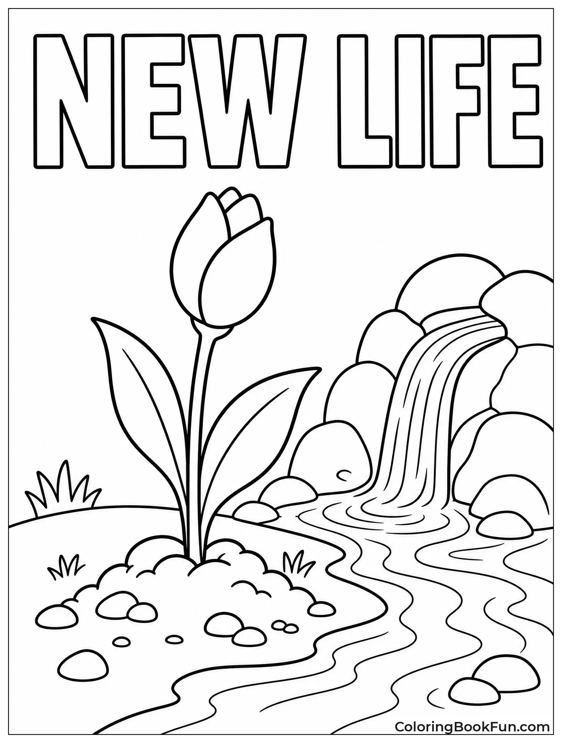 Flower Blooming Near Spring