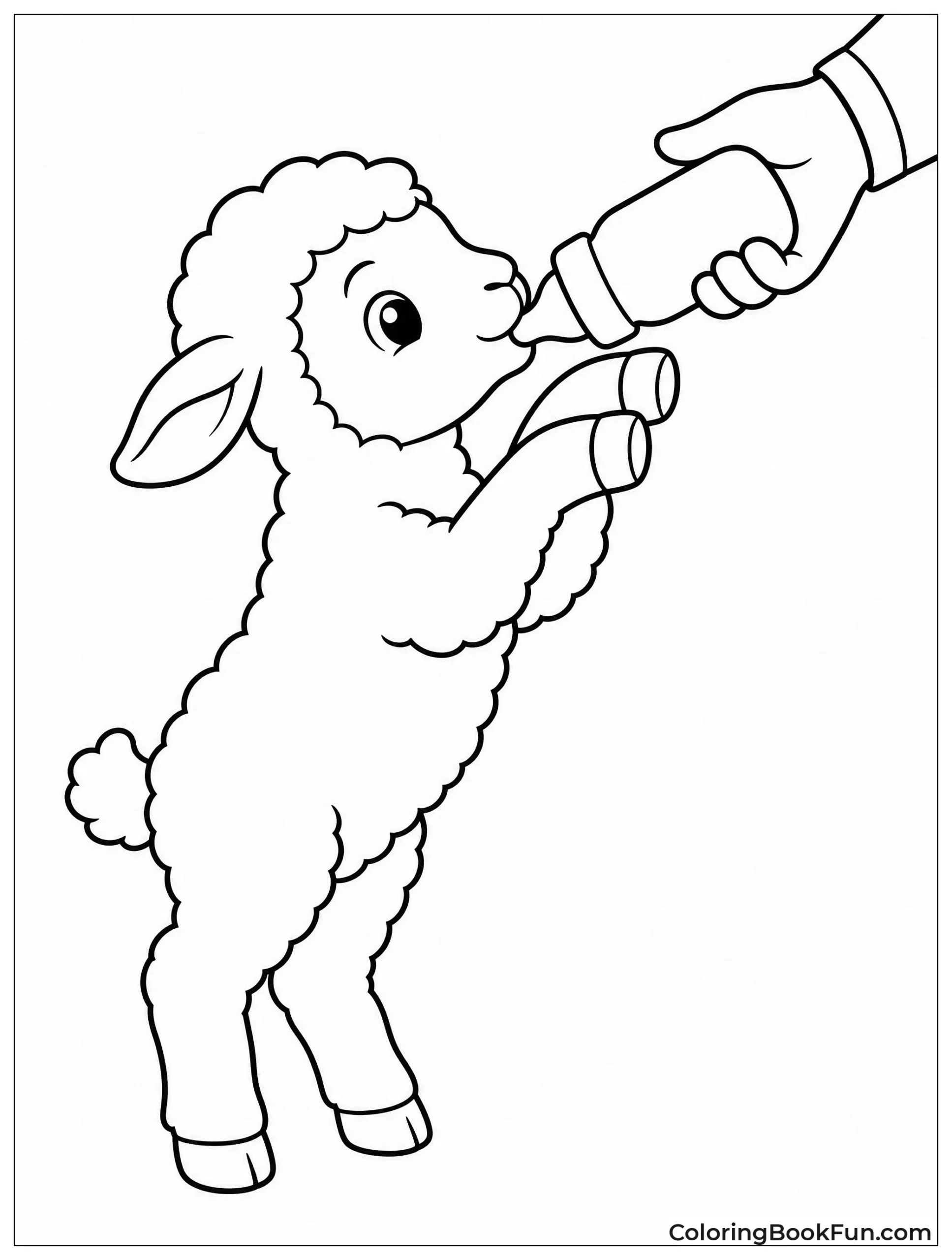 Lamb Reaches for Milk Bottle