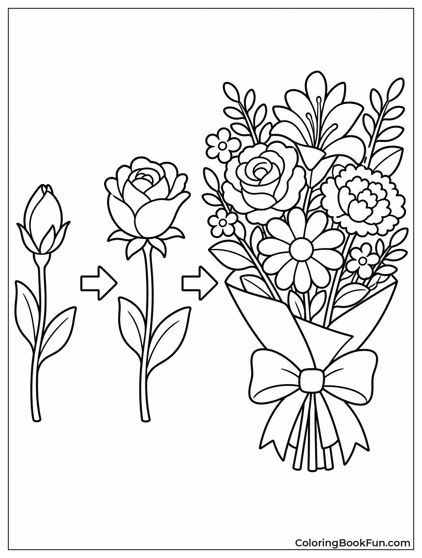 Flower Life Cycle from Bud