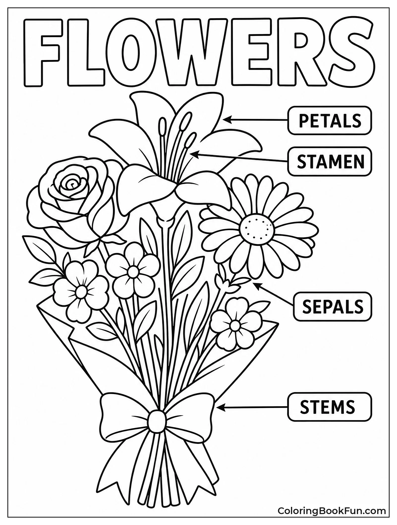 Labeled Parts of Flower Diagram