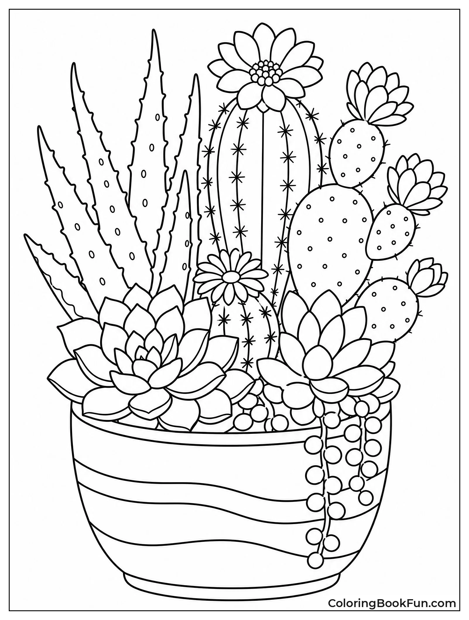 Succulents and Cacti in Pot
