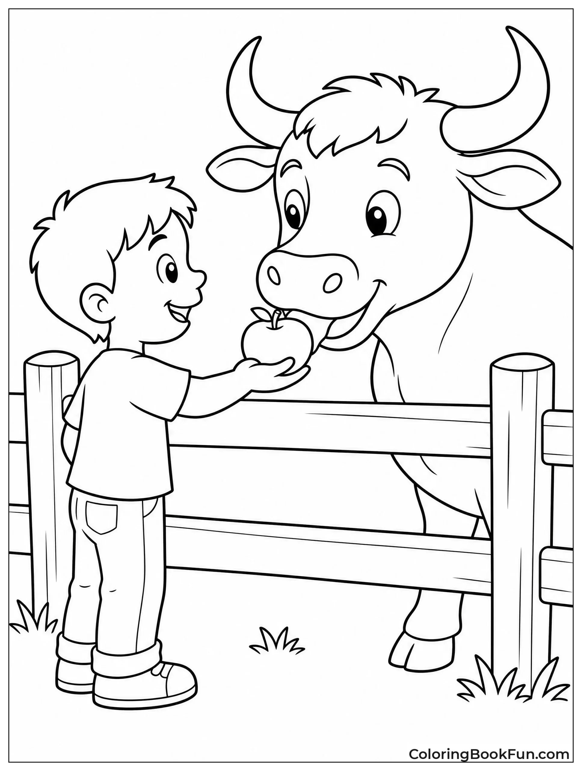 Bull Eating Apple From Hand