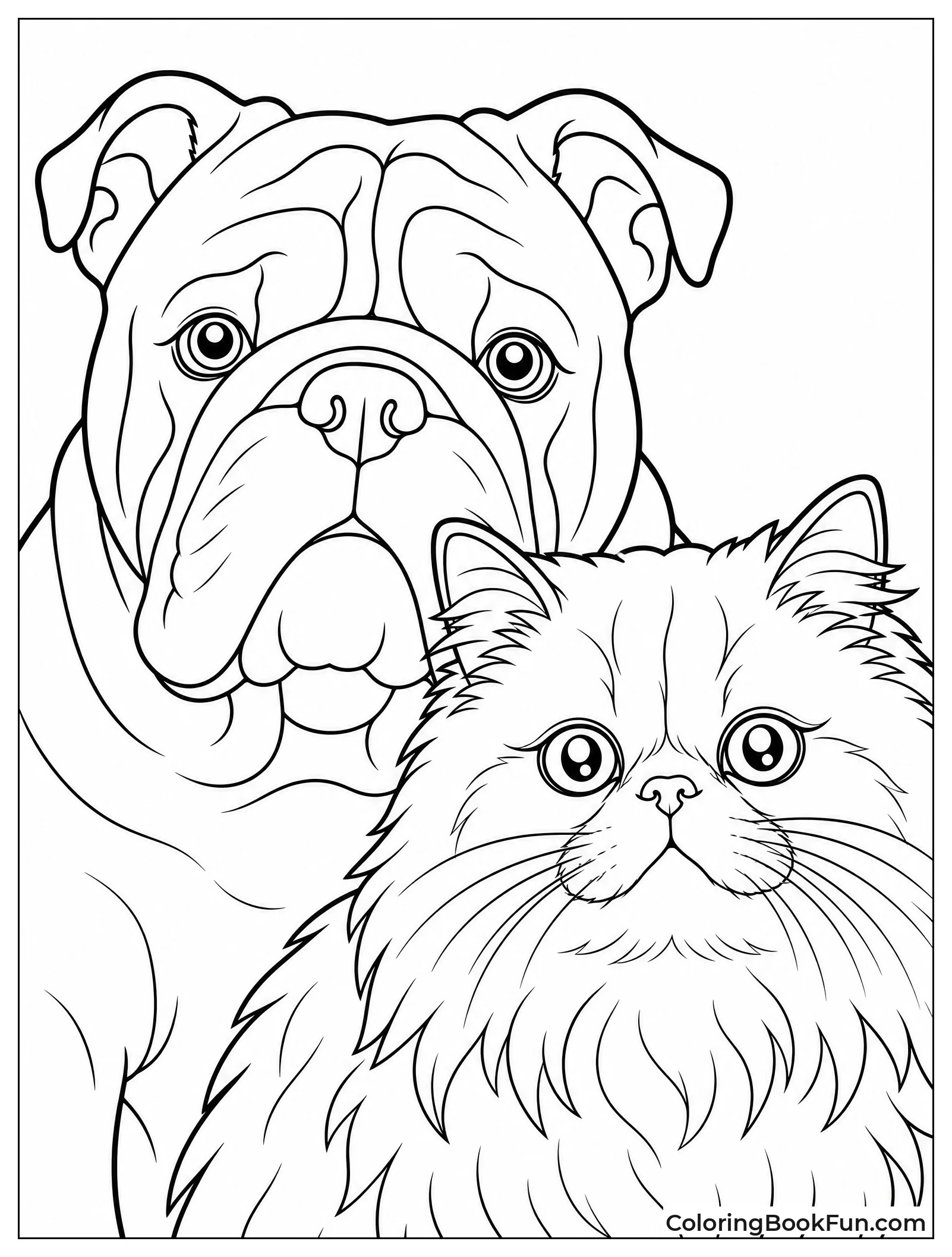 Close-up of Bulldog and Persian Faces