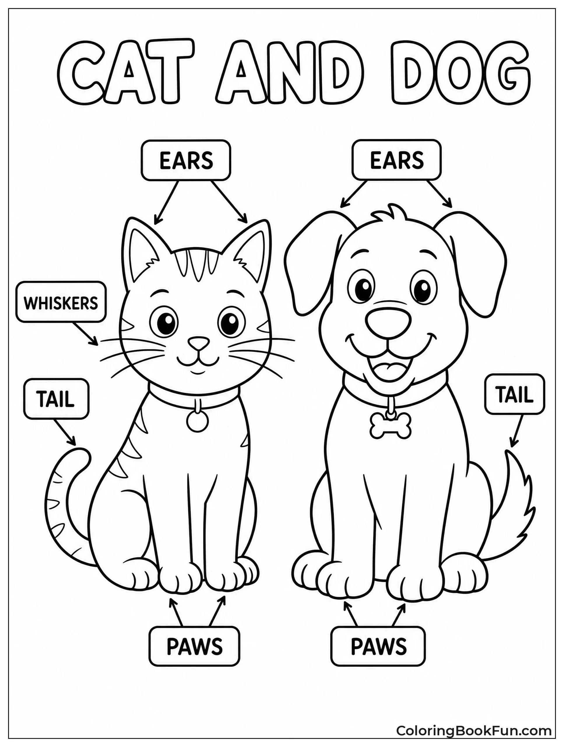 Labeled Parts of Cat and Dog