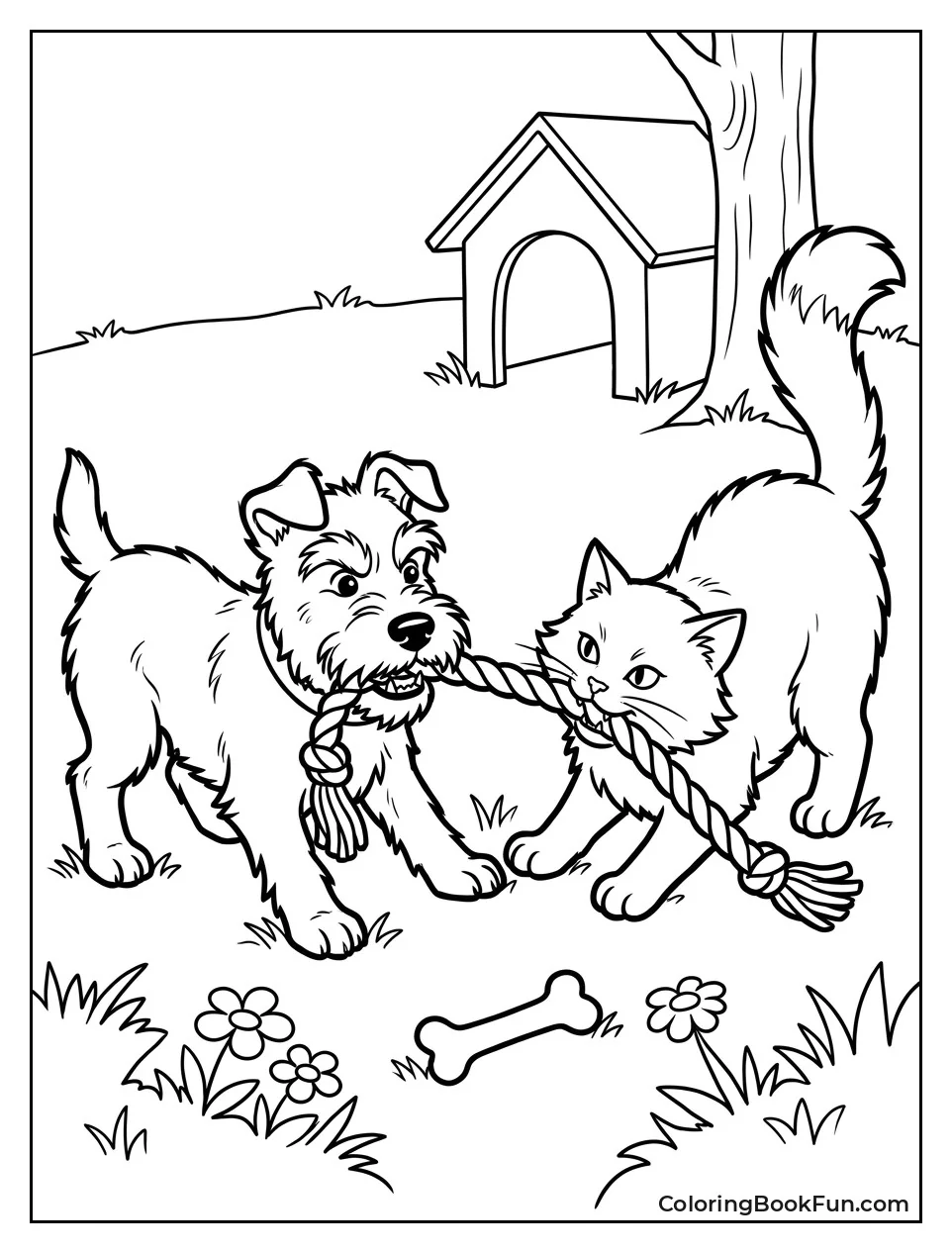 Terrier and Cat Playing Tug of War