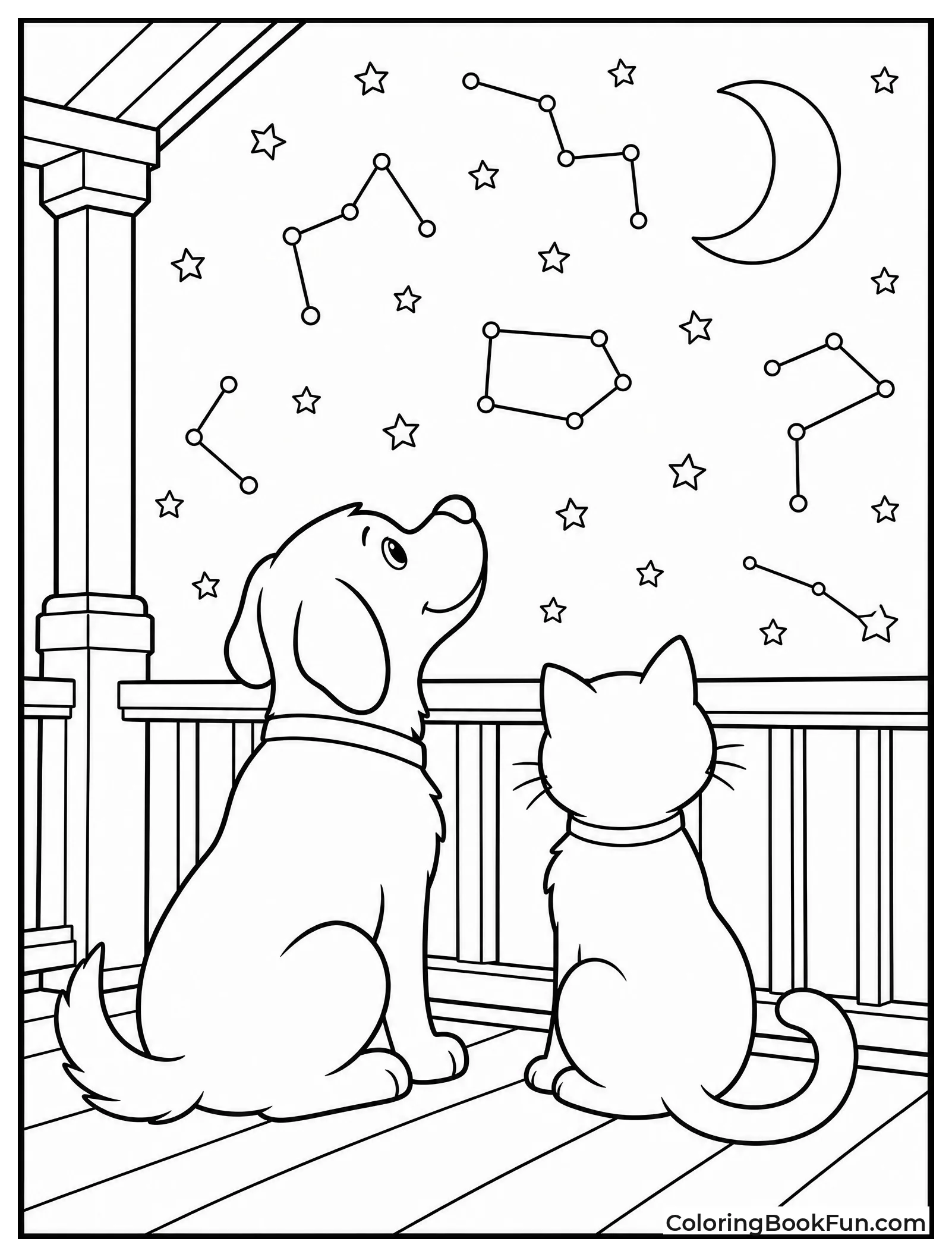 Pets Looking at Stars on Porch